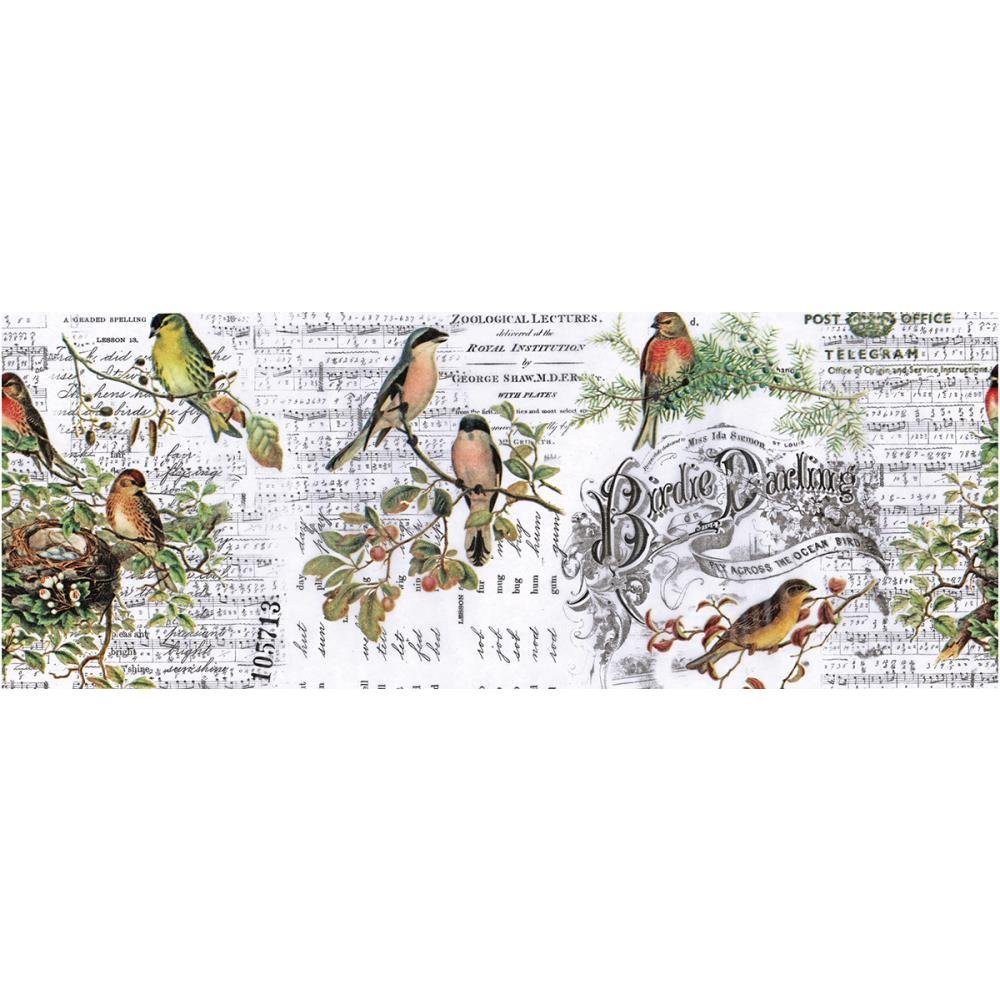 Tim Holtz Idea-Ology Collage Paper Rolls - Entomology, Botanical & Aviary Designs - 3-Pack for Scrapbooking, Junk Journaling & Mixed Media Art Projects