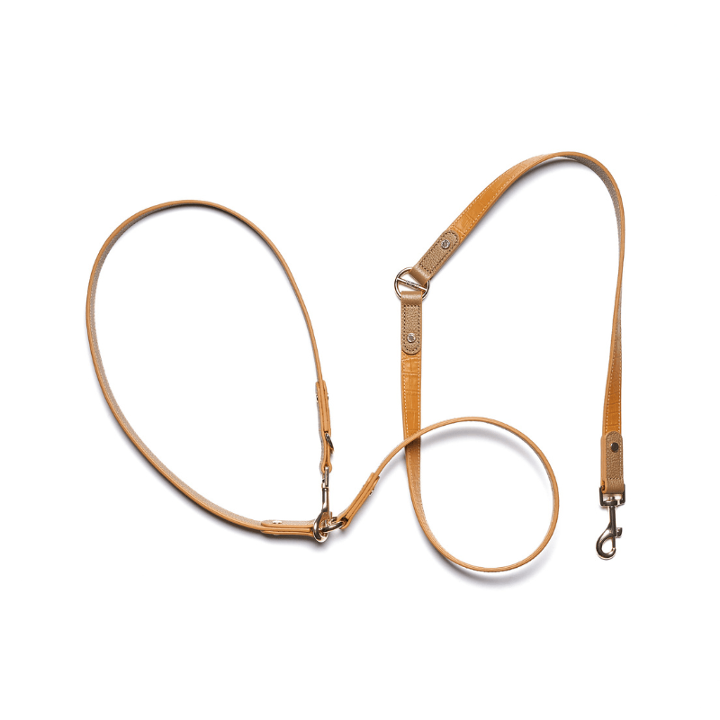 Hands Free Dog Leash - Adjustable Waist Leash for Running, Walking & Training - Reflective & Durable for Small Medium Large Dogs - Perfect for Jogging, Hiking & Outdoor Adventures