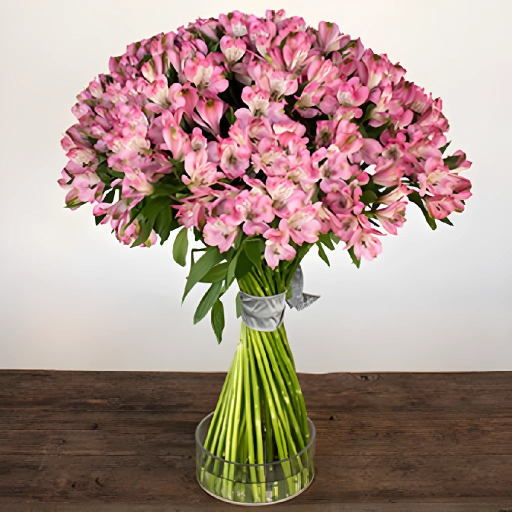 Alstroemeria Spiral Valentine's Day Flower Bouquet - Fresh Cut Peruvian Lily Arrangement for Romantic Gifts, Anniversaries & Weddings