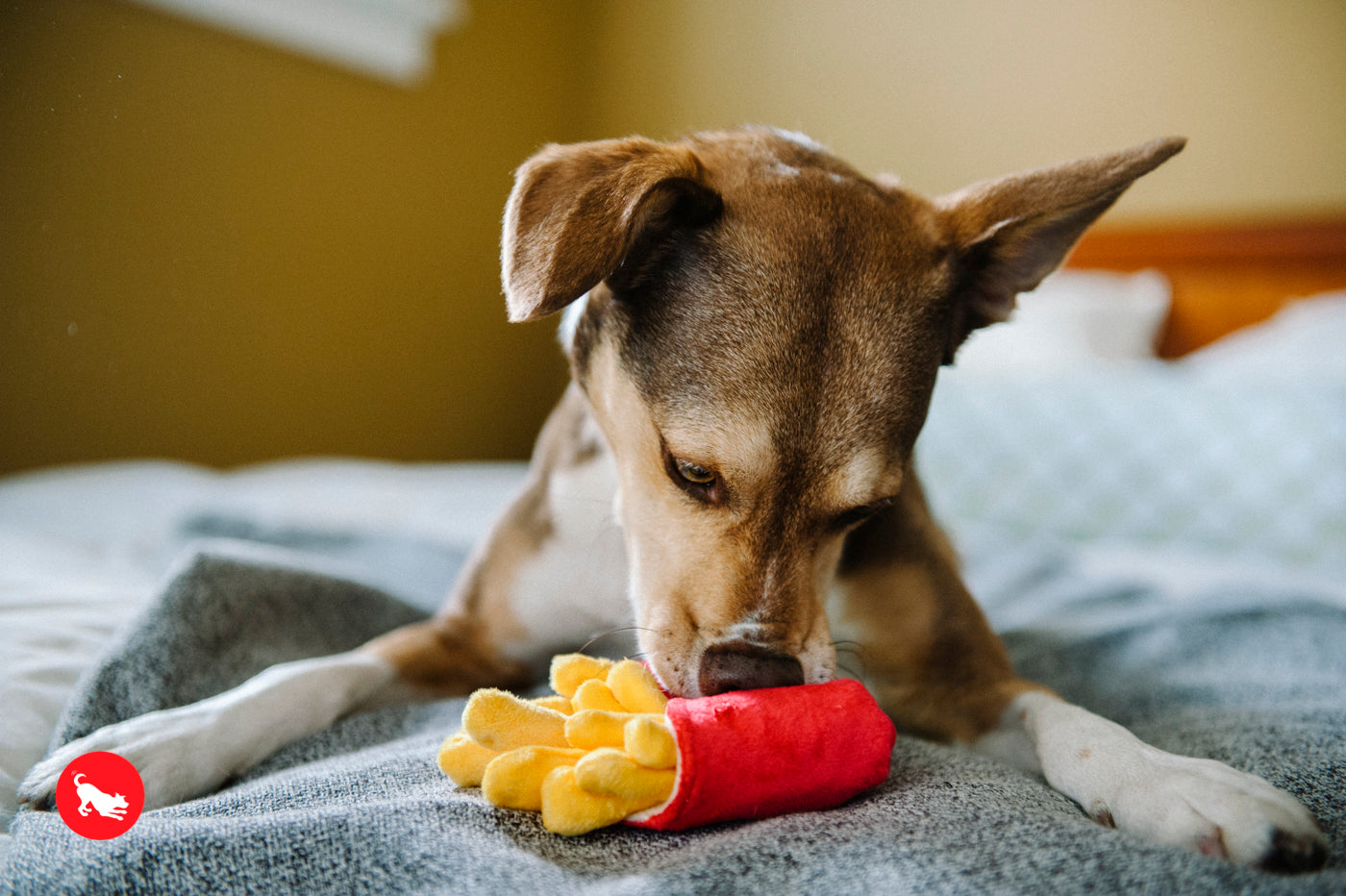 American Classic® Dog Chew Toy - Las Papas Fritas Plush French Fries for Dogs | Pet P.L.A.Y. | Perfect for Playtime, Training & Cuddling