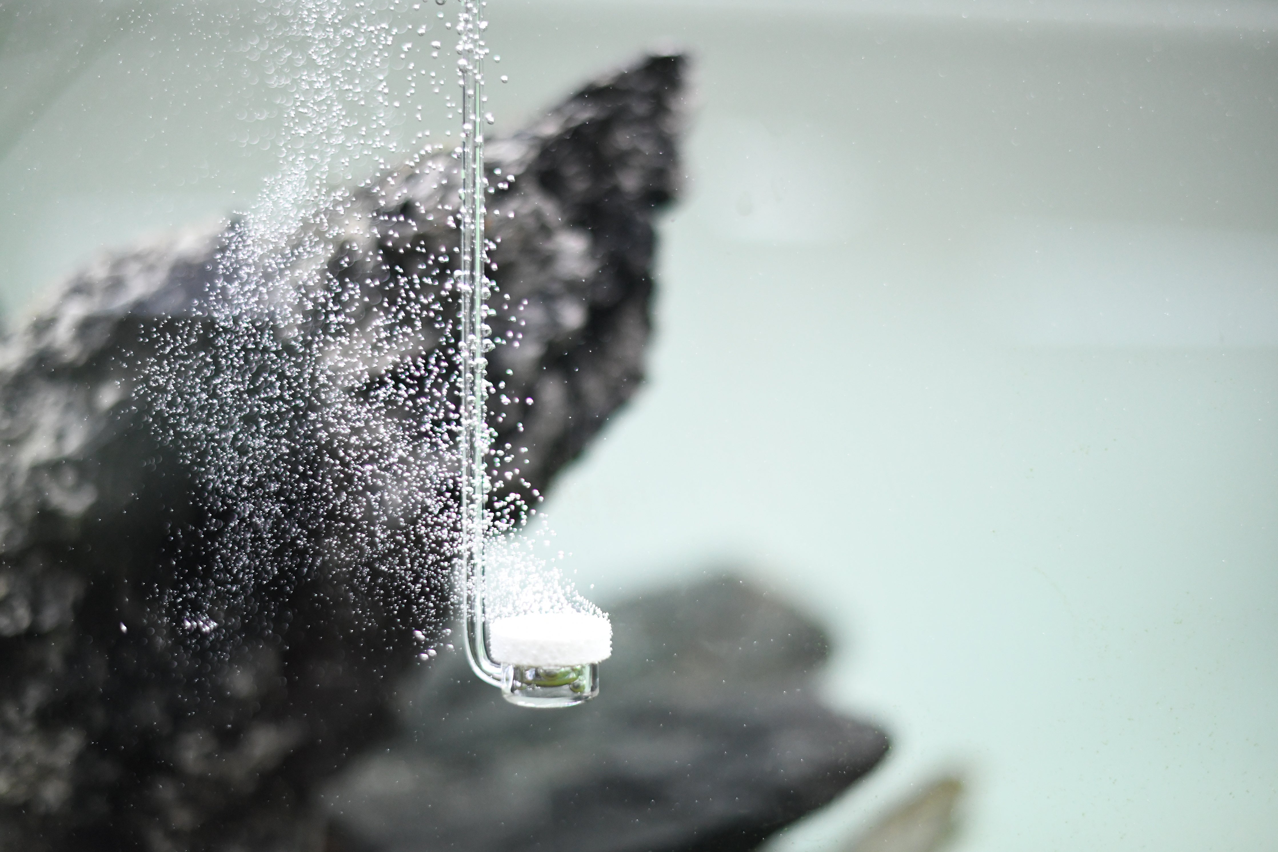Aquarium Air Stone Diffuser - Neo Curved Special Acrylic Bubble Diffuser for Fish Tank, Hydroponics & Oxygenation - Perfect for Freshwater/Saltwater Aquariums, Fish Breeding, and Hydroponic Systems