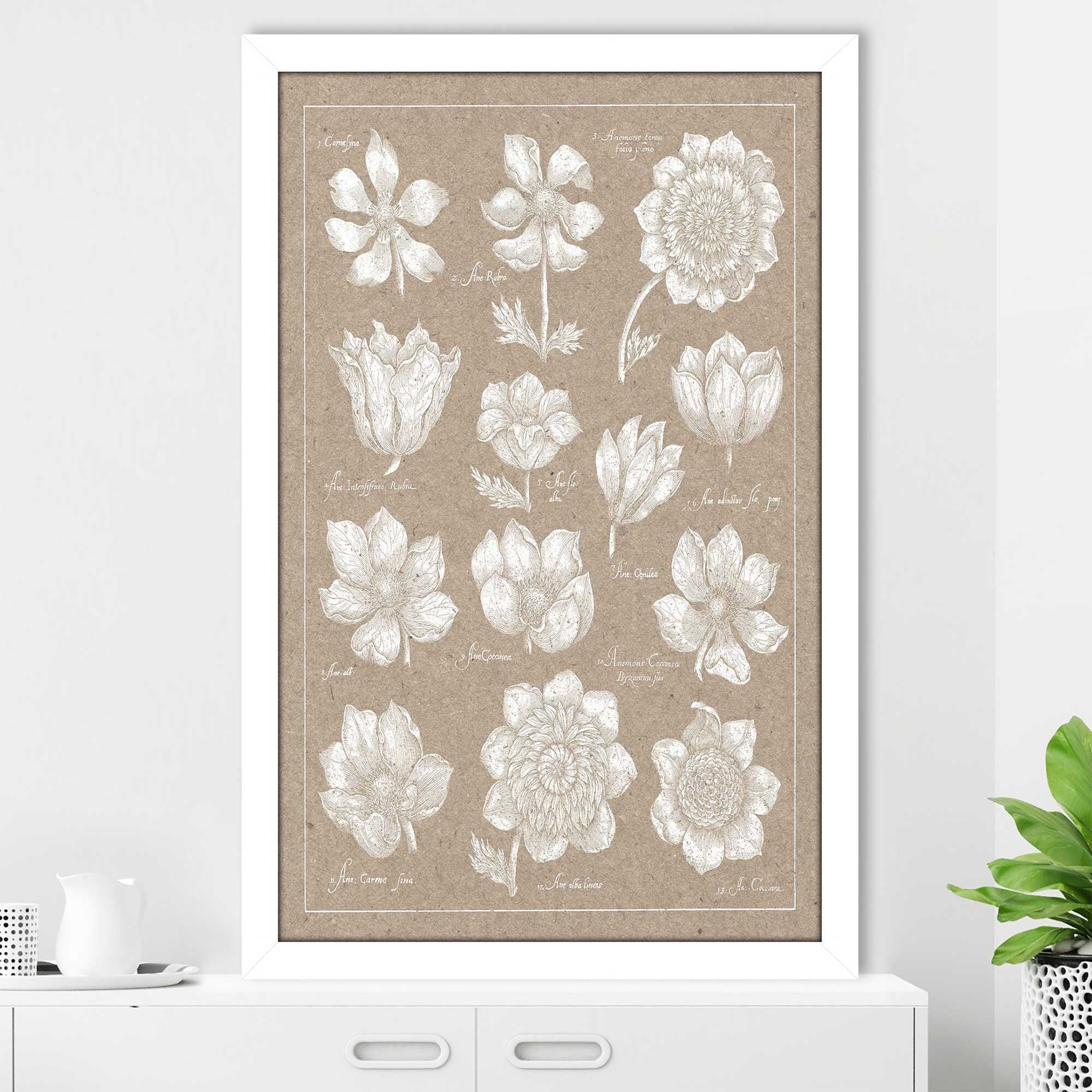 Anemone Plate I Print on Acrylic - Vibrant Sea Anemone Art for Home Decor, Office & Gift Giving