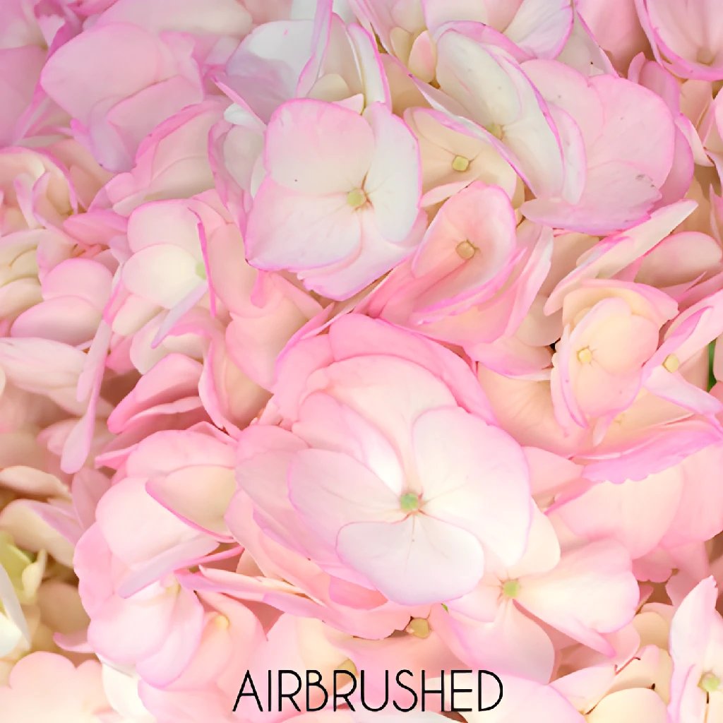 Blush Enhanced Hydrangea Flower - Artificial Silk Hydrangea Bouquet for Home Decor, Wedding Centerpieces & Party Arrangements