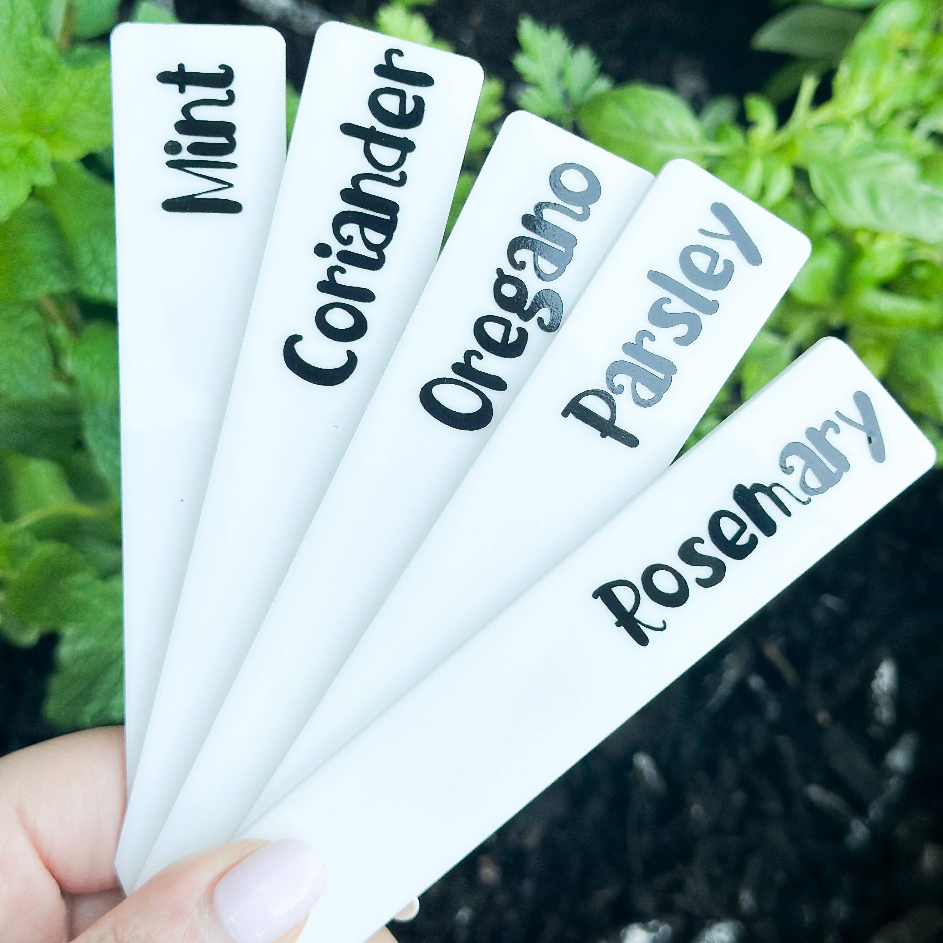 Customizable Acrylic Garden Stakes with Labels - Weatherproof Plant Markers for Outdoor Herb, Vegetable & Flower Gardens - Perfect for Gardening, Landscaping & DIY Projects