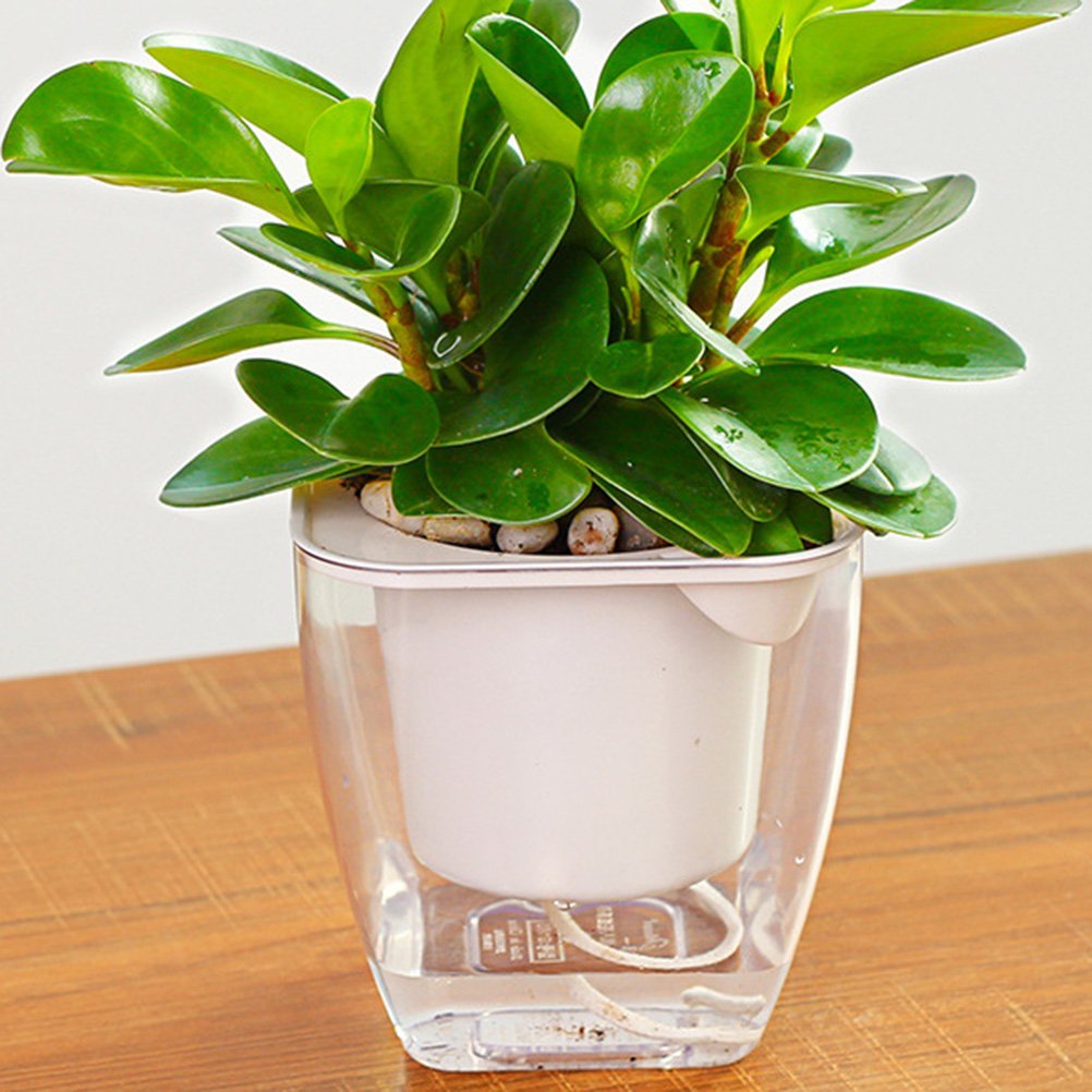 Stylish Hemoton Double Deck Planter - Transparent Indoor Garden Planter with Self-Watering System, Square Flower Pots for Home Decor (G103) - Perfect for Windowsills, Balconies & Office Spaces