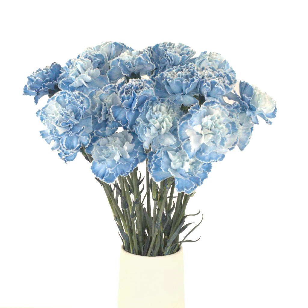 Blue Carnation Flowers for Baby Shower Decorations - Perfect for Nursery Decor, Gender Reveal Parties & Newborn Celebrations