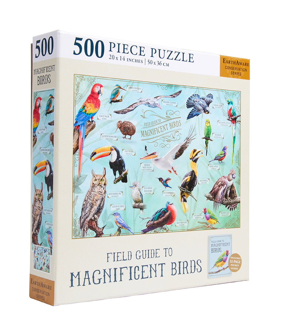 Field Guide to Magnificent Birds - North American Bird Identification Book with Color Photos - Perfect for Birdwatching, Hiking & Nature Exploration