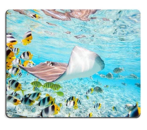 Premium Gaming Mouse Pad - Natural Rubber Non-Slip Surface with Vibrant Underwater Design (Bora Bora Lagoon Theme Featuring Colorful Fish, Stingrays & Black-Tipped Sharks) - Perfect for PC Gaming, Office Work & Home Computer Setup - M0A02047