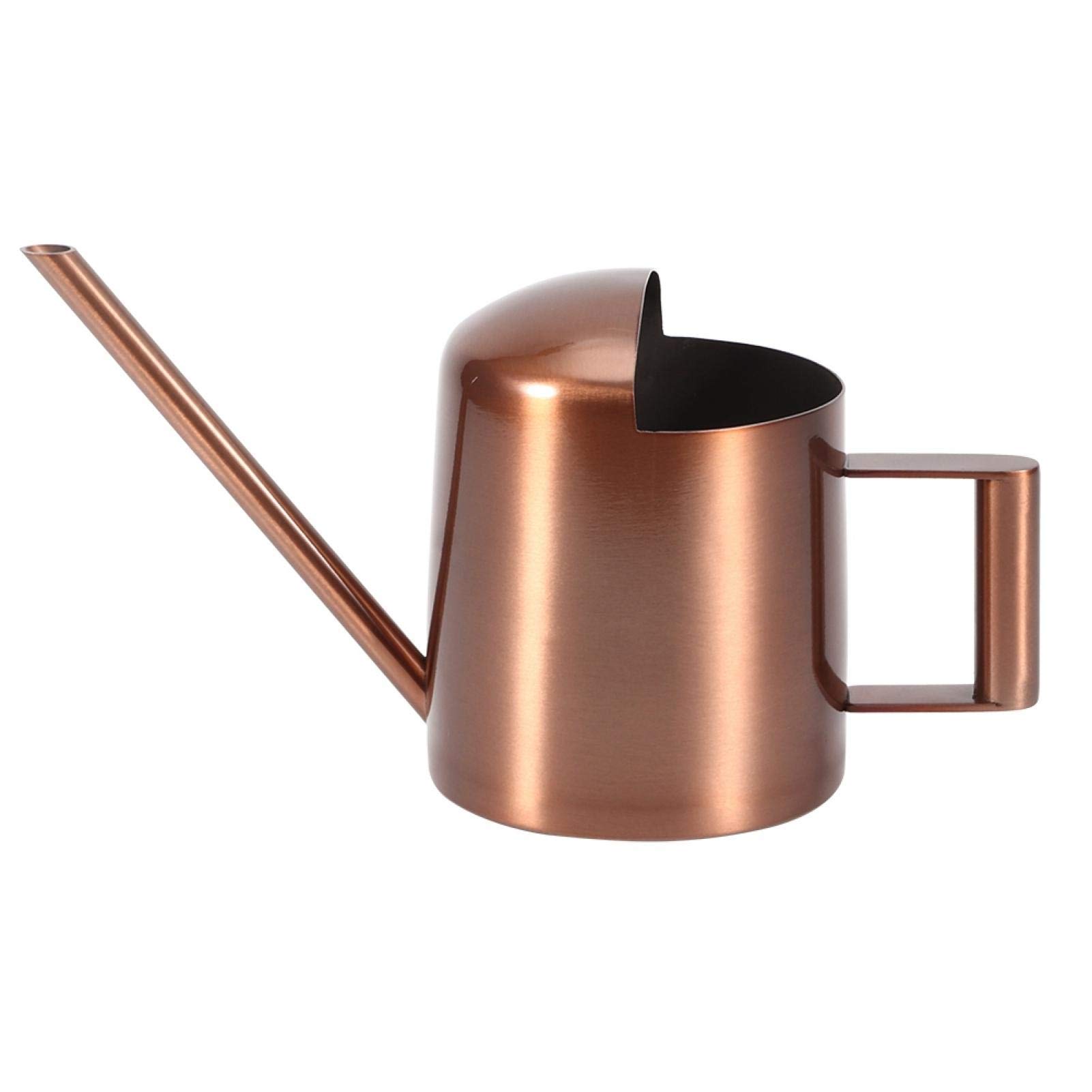 300ml Stainless Steel Watering Can - Metal Plant Sprayer with Long Spout, Mini Gold Garden Tool for Indoor & Outdoor Plants | Perfect for Houseplants, Succulents, Herb Gardens & Balcony Gardening