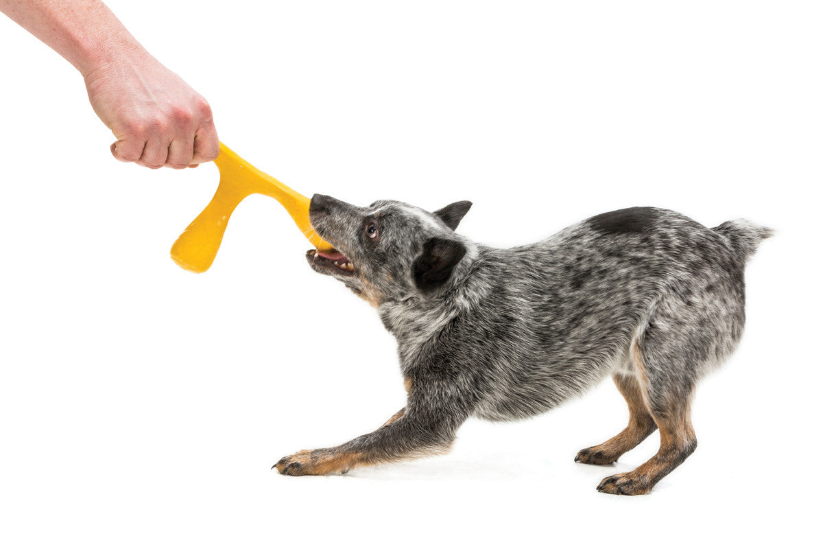 West Paw Design Wox - Durable & Eco-Friendly Dog Chew Toy for Aggressive Chewers | Non-Toxic & Washable | Perfect for Indoor & Outdoor Playtime