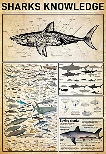 1000-Piece Marine Life Shark Jigsaw Puzzle for Adults & Teens - Wooden Puzzle, Stress Relief, Positive Thinking, Party Game - Perfect for Family Gatherings & Relaxation