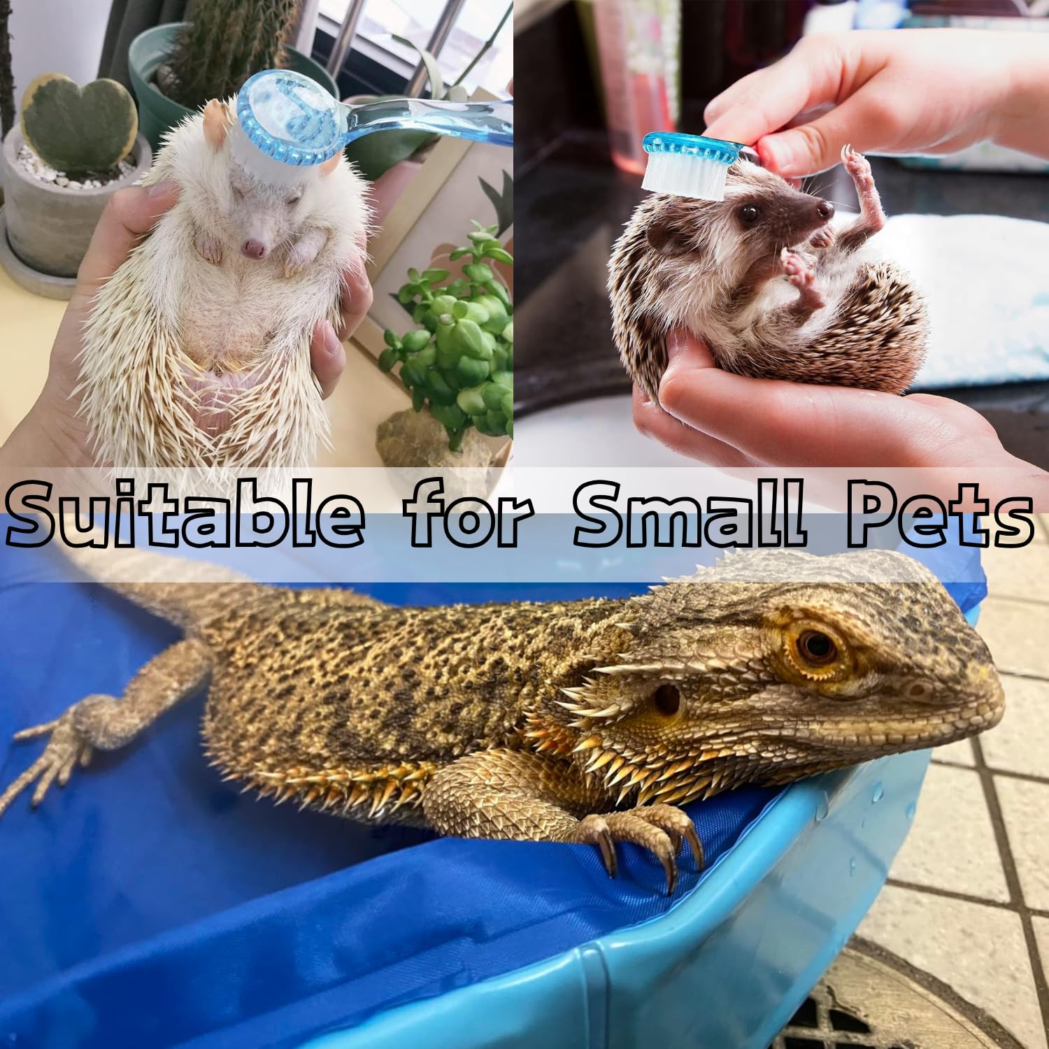 Foldable Reptile Bathtub with Brush & Towel - for Bearded Dragons, Turtles, Hedgehogs - Pet Cleaning & Relaxation