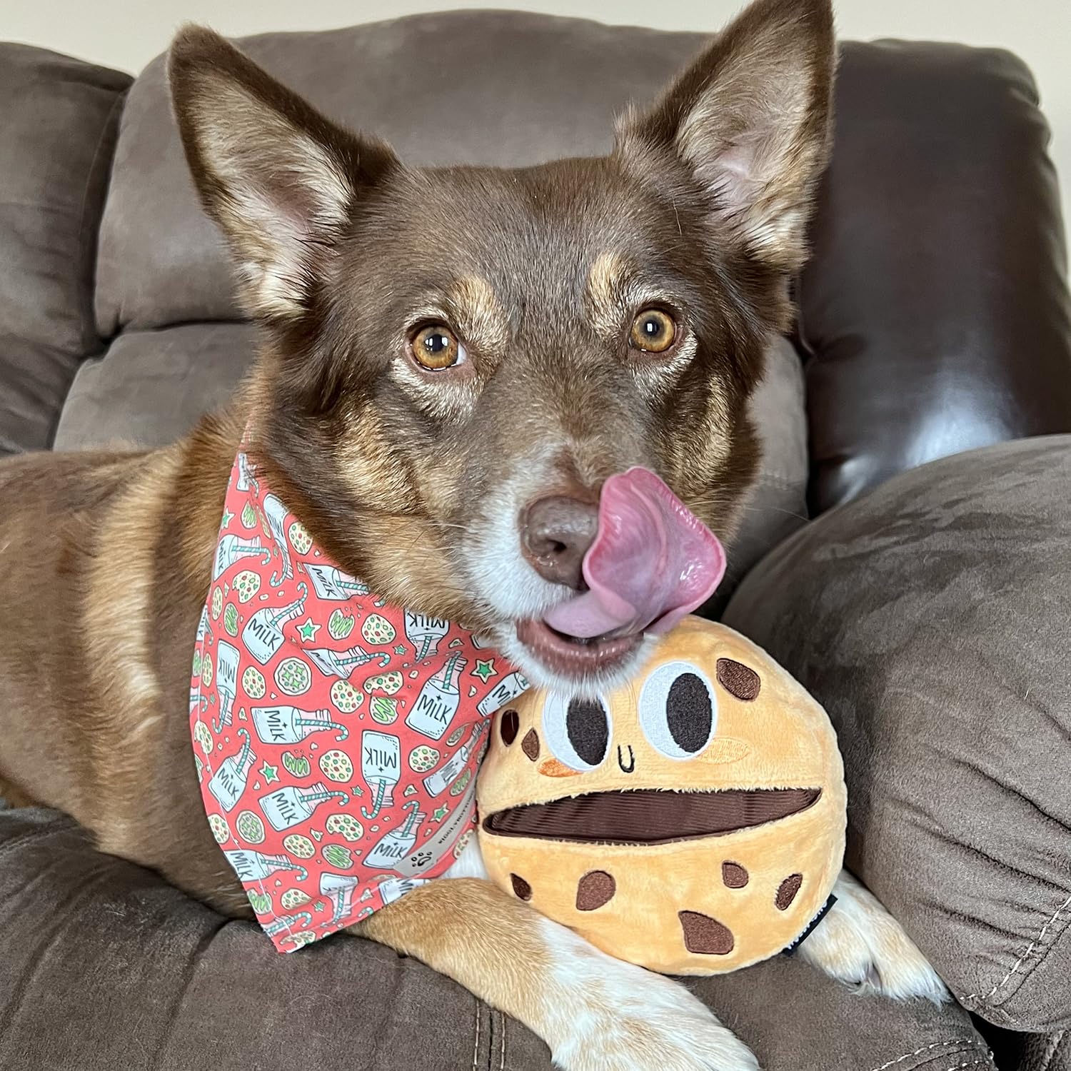 Interactive Dog Toys for Small, Medium & Large Breeds - Puppy Puzzle Toys, Treat Dispensing & Plush Chew Toys - Perfect for Birthday Gifts, Halloween Enrichment & Daily Playtime