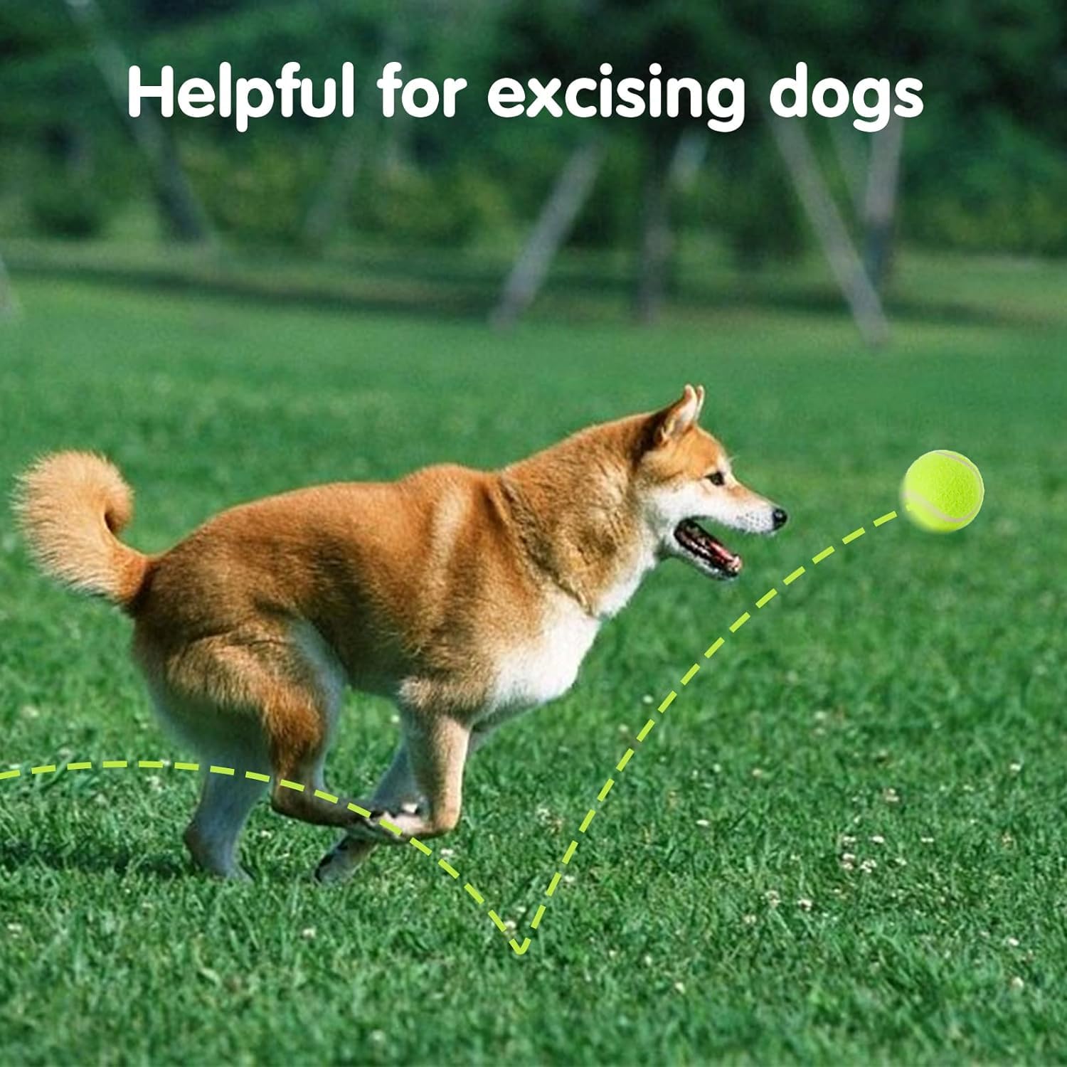 12 Pack Mini Tennis Balls for Small Dogs - 2 Inch Pet Training Balls for Fetch & Interactive Play - Fits Automatic Ball Launchers - Perfect for Indoor/Outdoor Playtime, Dog Training & Exercise