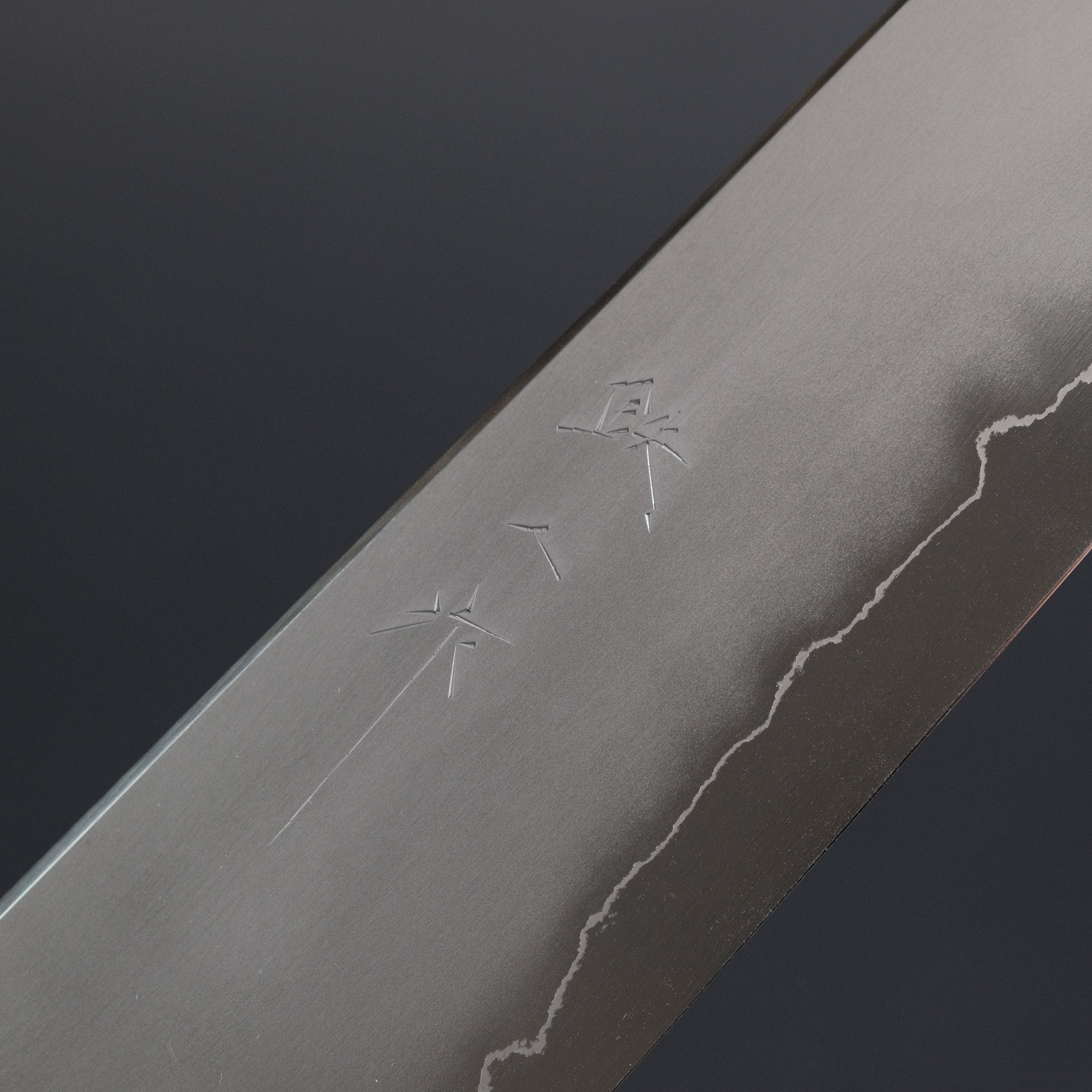Premium Tetsujin Silver #3 Kasumi Kiritsuke Gyuto 210mm Japanese Chef Knife with Taihei Makassar Ebony Handle - Perfect for Sushi, Sashimi & Precision Cutting