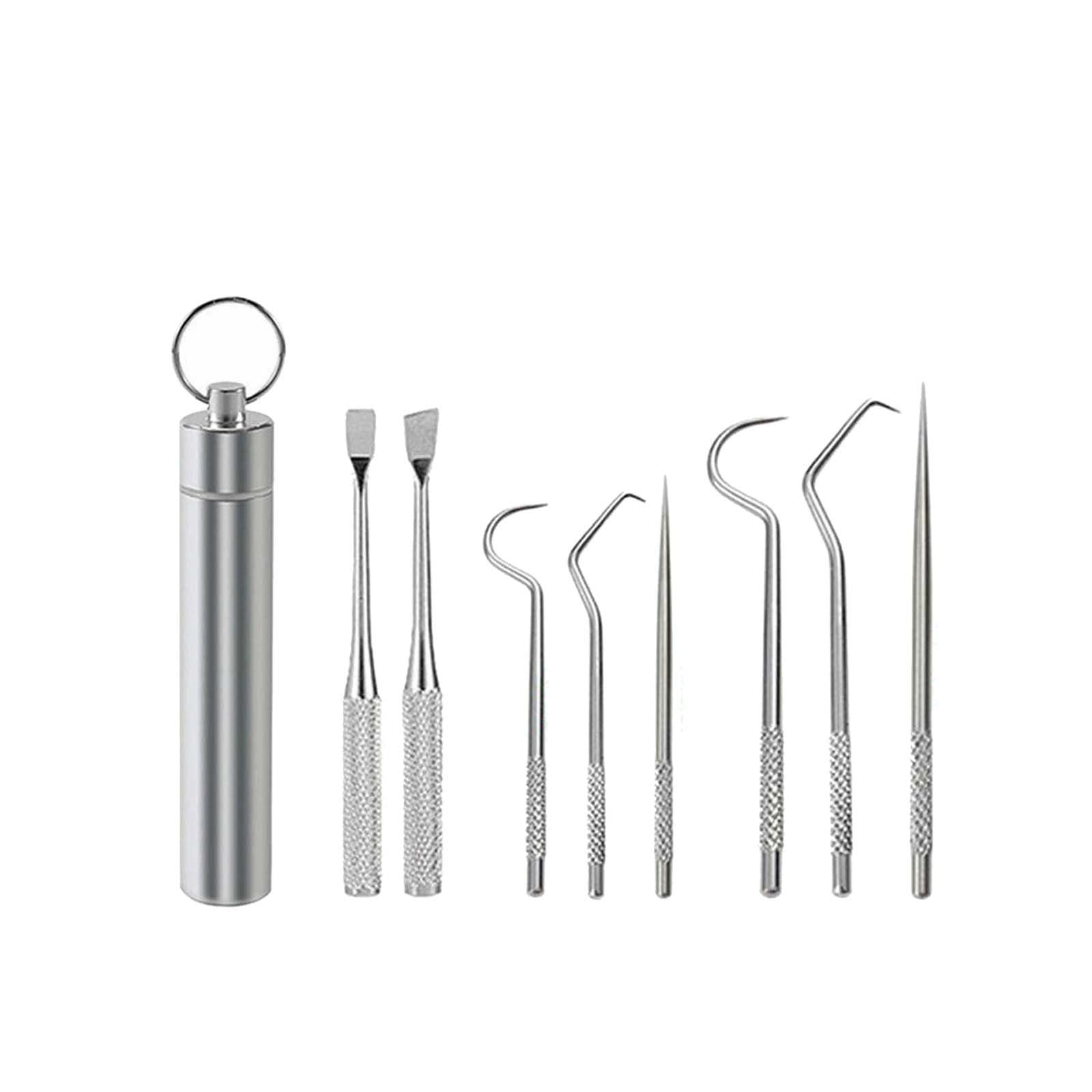6-Piece Stainless Steel Reusable Toothpick Set with Holder - Durable Metal Toothpicks for Dental Care, Travel & Outdoor Use - Portable Pocket Dental Hygiene Kit (8-Pack)