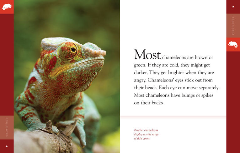 Amazing Animals (2014): Chameleons - Color Changing Reptiles for Kids & Nature Lovers | Perfect for Educational Gifts & Wildlife Documentaries