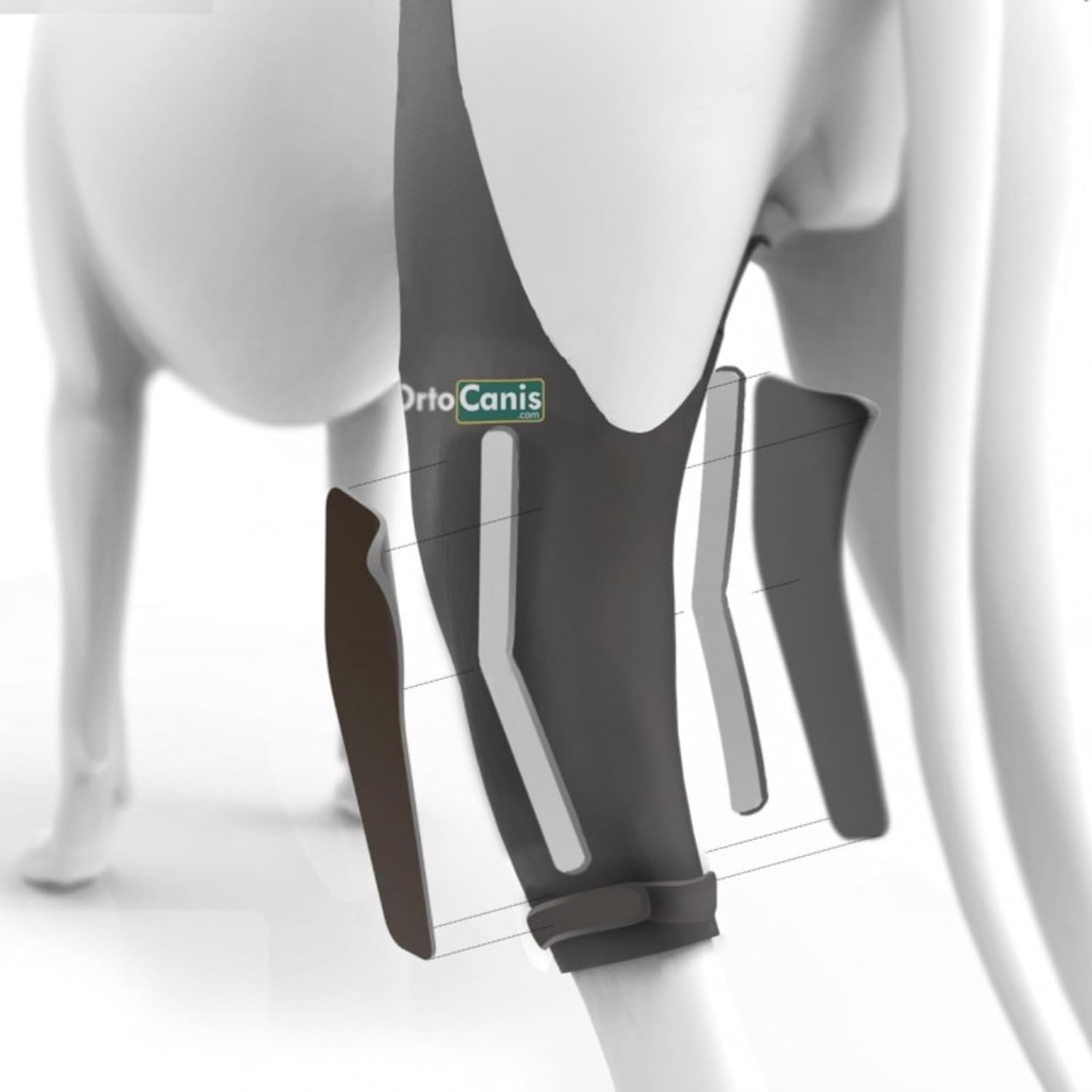 Ortocanis Dog Knee Brace for Torn ACL, Ligament Rupture & Patella Luxation - XXL Left Hind Leg Support Brace - Veterinary-Approved Canine ACL Recovery Aid - Perfect for Post-Surgery Rehabilitation & Active Dogs