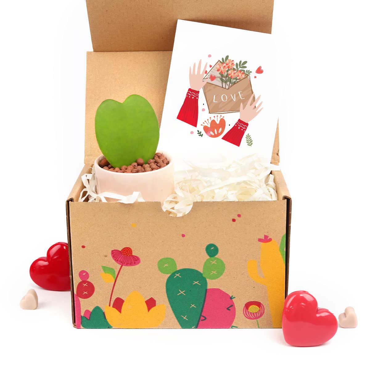 Healing Houseplant Gift Box Set with May Time Heal Your Sorrow Card - Perfect Plant Lover Gift for Sympathy, Get Well, or Home Decor