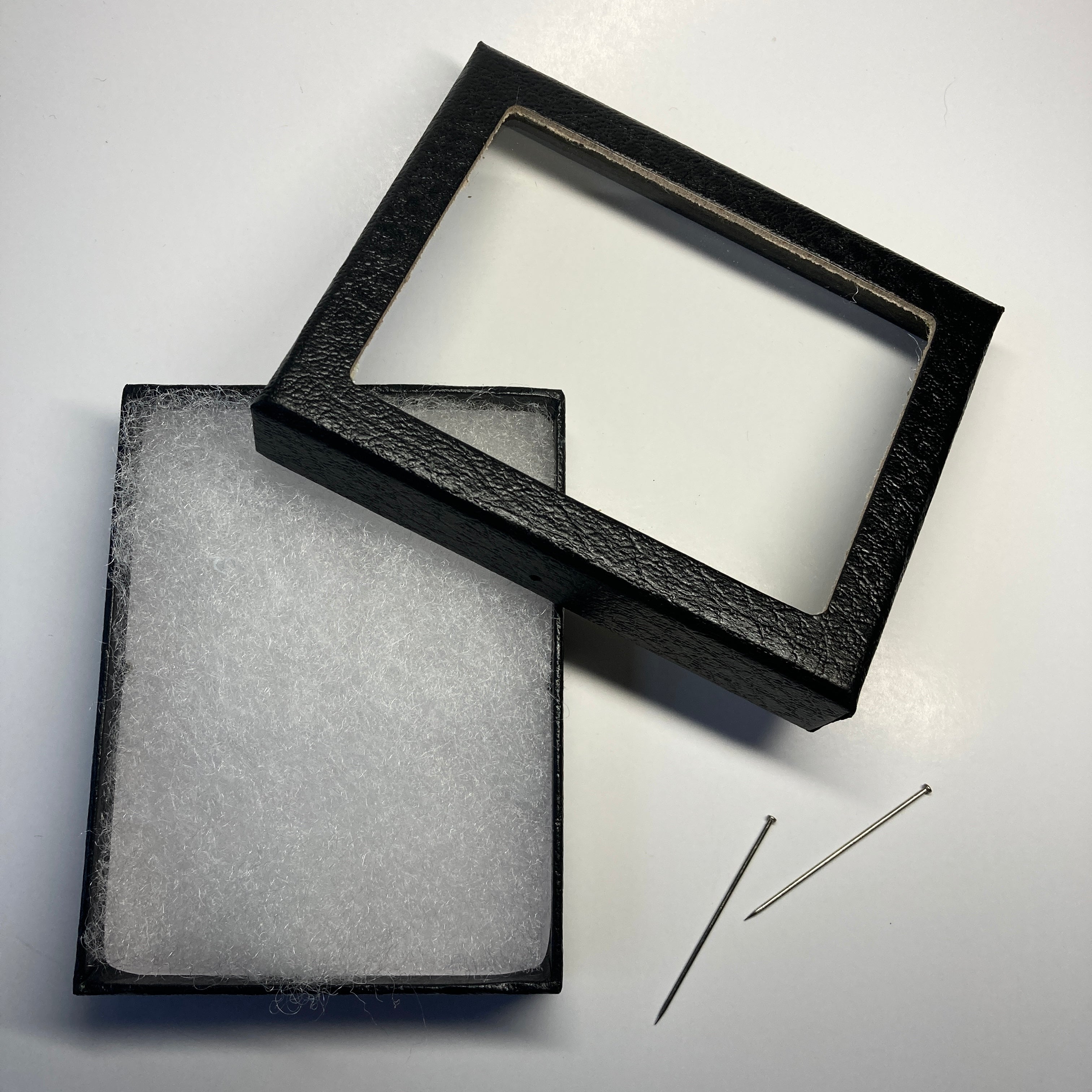 3.25 x 4.25 Inch Clear Acrylic Riker Display Case for Collectibles, Insects, Fossils - Perfect for Museum, Classroom, and Home Decor
