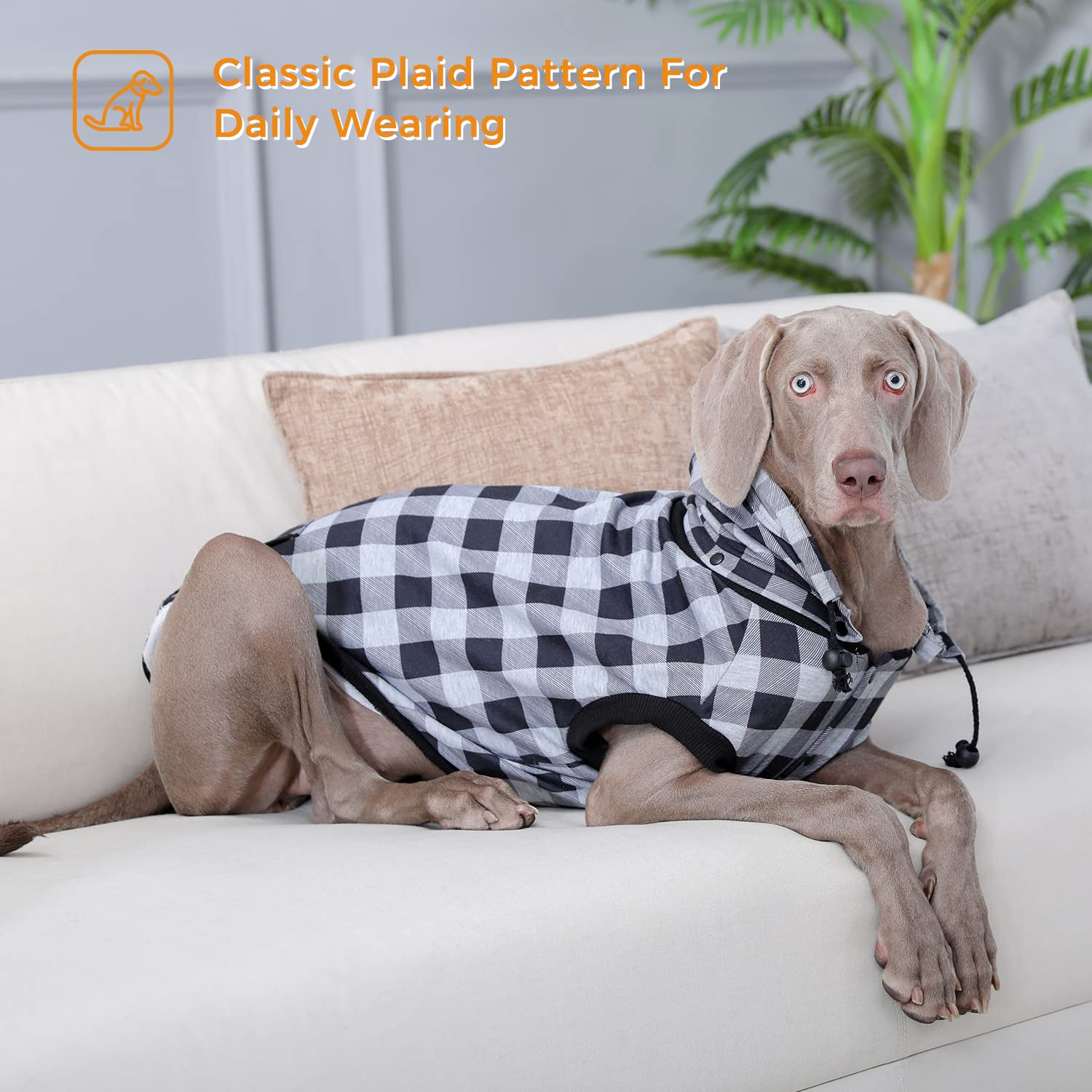 PAWZ Plaid Dog Sweater - British Style Windproof Pet Jacket for Small Medium Large Dogs | Winter Dog Coat for Outdoor Walking, Hiking & Cold Weather Protection (Gray, Small)