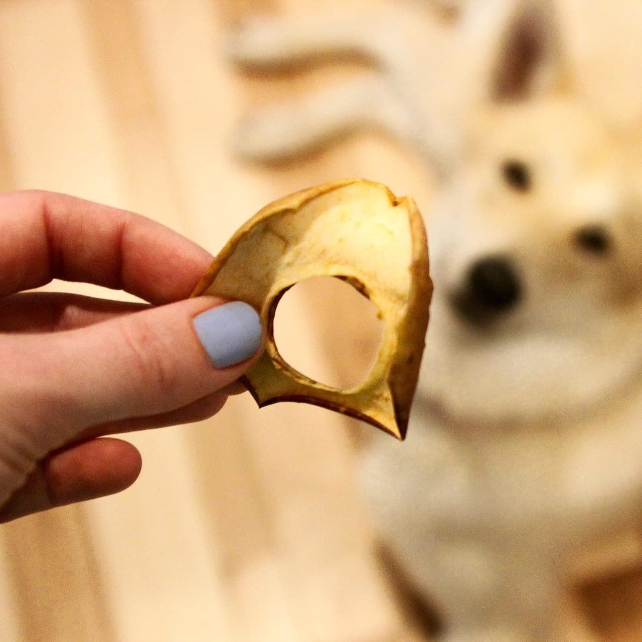Premium Thin & Crispy All-Natural Apple Rings Dog Treats – Vegetarian, Real Fruit, 5 oz – Healthy Snacks for Training, Rewards & Dental Care