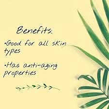 Khadi Rishikesh Herbal Handmade Aloe Vera Soap for Face & Body - Hydrating, Lightens Blemishes, Evens Skin Tone with Olive Oil & Rose Water | Best Natural Soap for Summer, Unisex Gift Set with Free Loofah Sponge (125g x 2) - Perfect for Daily Skincare Routine & Spa-Like Bath Experience