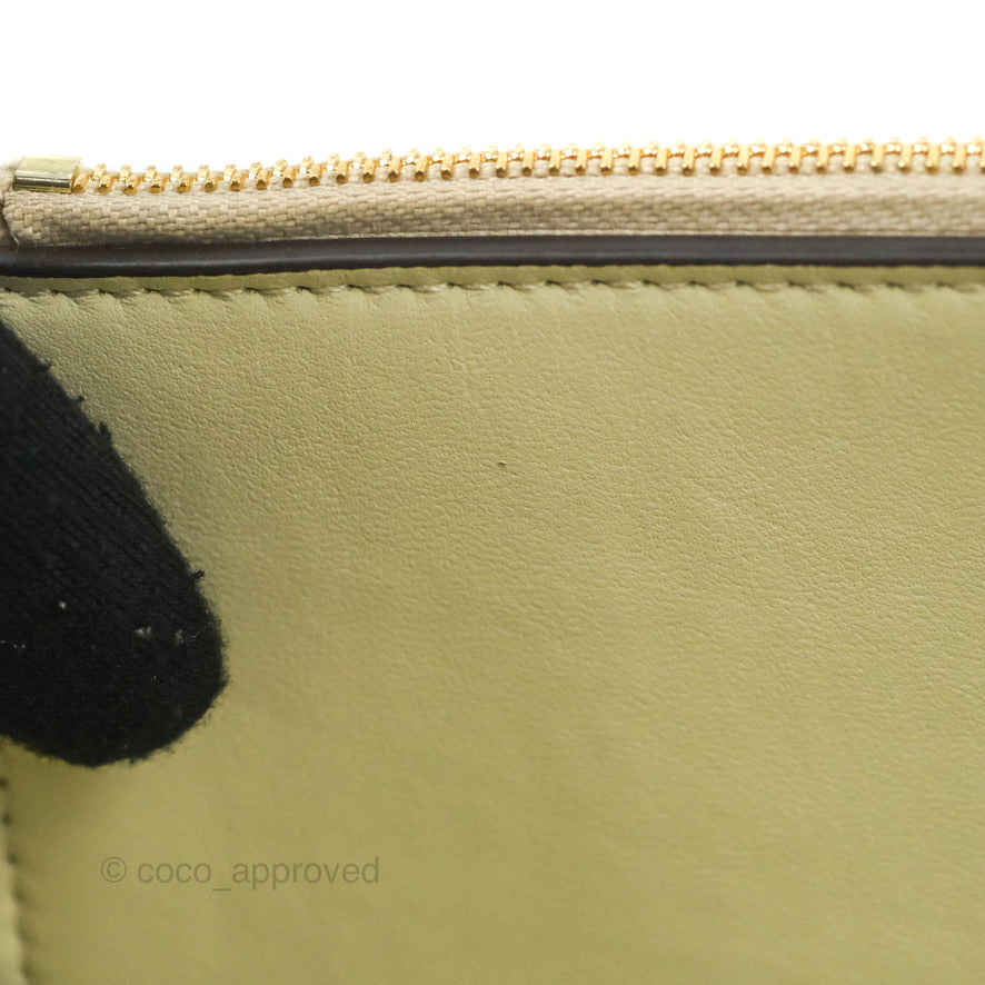 Celine Frame Bag Light Green - Stylish Designer Handbag for Women | Perfect for Work, Travel & Everyday Use