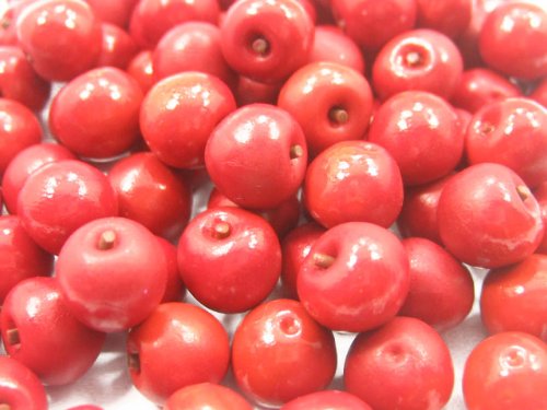 20PCS Miniature Red Apple Dollhouse Food - Realistic Tiny Fruit Decor for Dollhouse, Fairy Garden, DIY Crafts, and Miniature Scenes - Perfect for Charms, Dioramas, and Collectibles