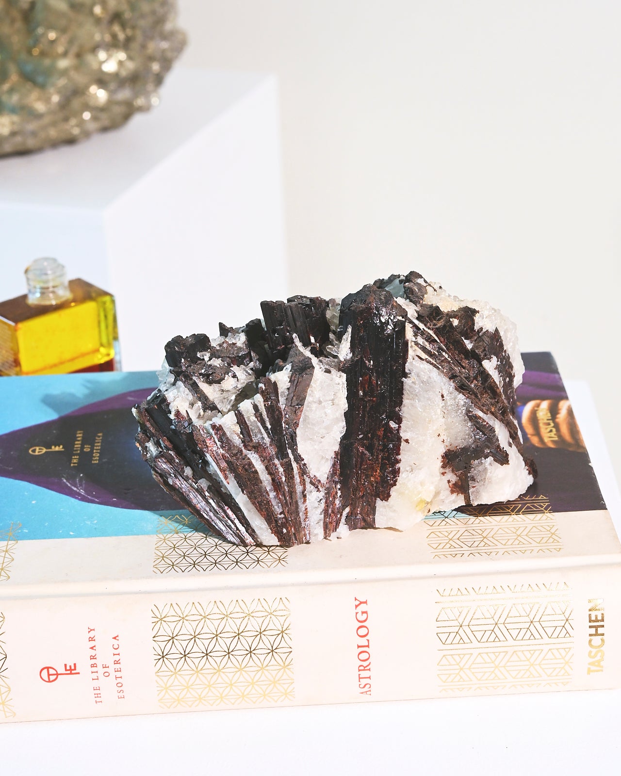 Hubnerite with Quartz Crystal Specimen - 3.3lbs Natural Mineral Collection for Home Decor, Healing Crystals & Geology Enthusiasts | Perfect for Display, Meditation & Energy Work