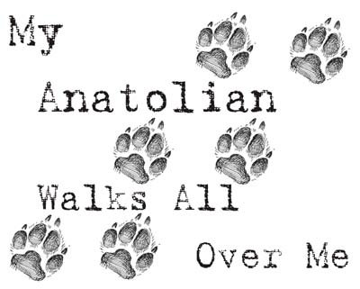 Cahoon's Closet Anatolian Dog Lover T-Shirt - Funny Dog Walking Owner Humor Graphic Tee for Pet Lovers, Dog Owners & Anatolian Shepherd Fans | Perfect for Casual Wear, Dog Parks & Pet Owner Gifts