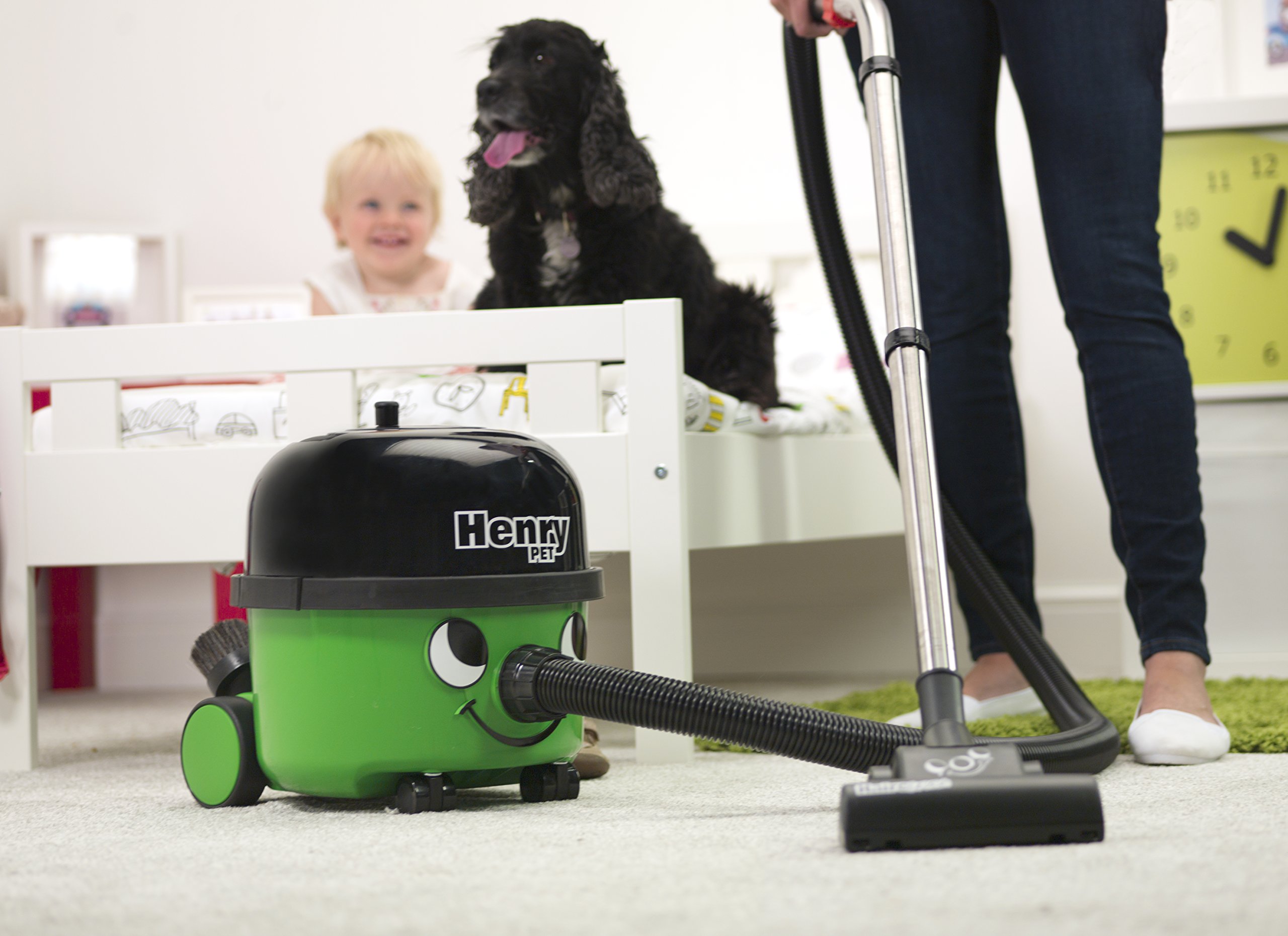 Henry PET200 9L 620W Green Bagged Cylinder Vacuum Cleaner for Pet Hair - Powerful Suction for Carpets, Hard Floors & Upholstery Cleaning
