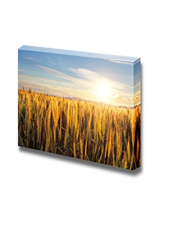 Sunset Over Wheat Field