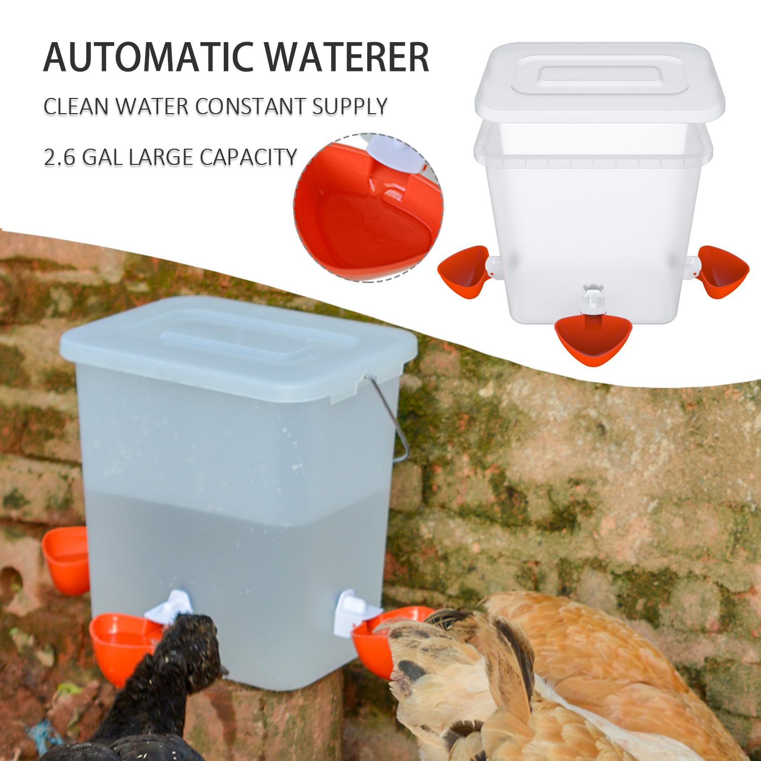 Automatic Chicken Feeder and Waterer Set - 3 Port Poultry Feeding System with Water Cups for Hens, Ducks & Birds - Perfect for Coops, Farms & Backyard Chicken Raising
