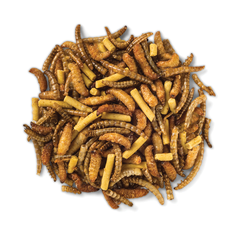 High Protein Trail Mix Wild Bird Food by Duncraft - Nutritious Seed Blend for Backyard Birds, Woodpeckers & Cardinals - Perfect for Bird Feeders, Wildlife Watching & Outdoor Enthusiasts