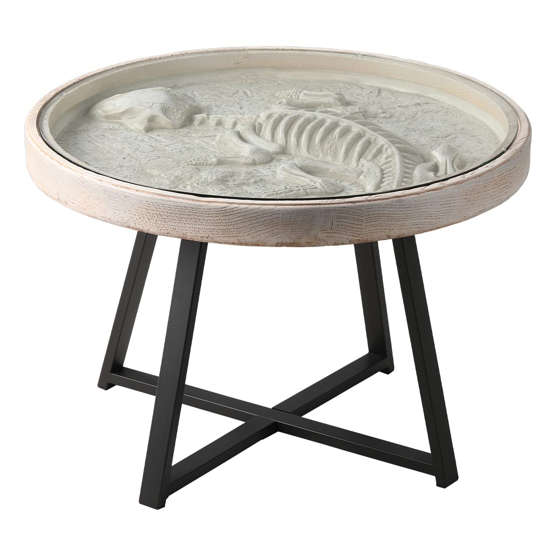Koncemel 24.5 Inch Round End Table with Dinosaur Fossil Design - Tempered Glass Top & Sturdy Metal Frame - Perfect for Living Room, Sofa Side, or Bedside - Ideal for Coffee Table, Reading Nook & Home Decor