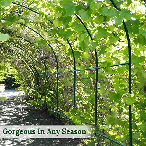 Heavy-Duty Camel Greenhouse Replacement Frame for Outdoor Large Hot Garden House - Supports Climbing Plants, Flowers & Vegetables (6.5'x7'x7.2') - Perfect for Vine Crops, Vertical Gardening & Backyard Greenhouses