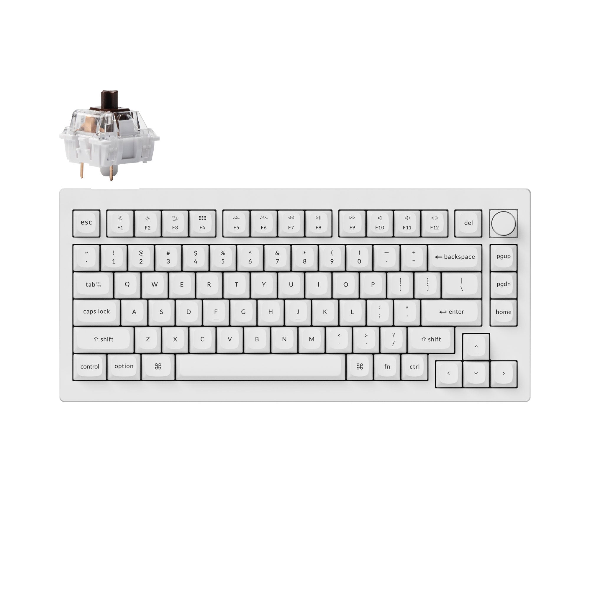 Shell White