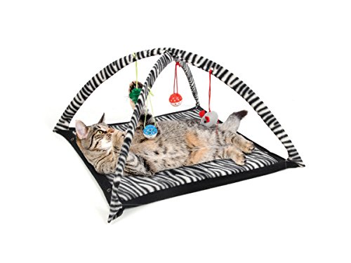 6-Pack Cat Play Tent for Indoor Fun - Durable & Cozy Pet Hideaway for Kittens & Cats - Perfect for Playtime, Napping & Relaxation