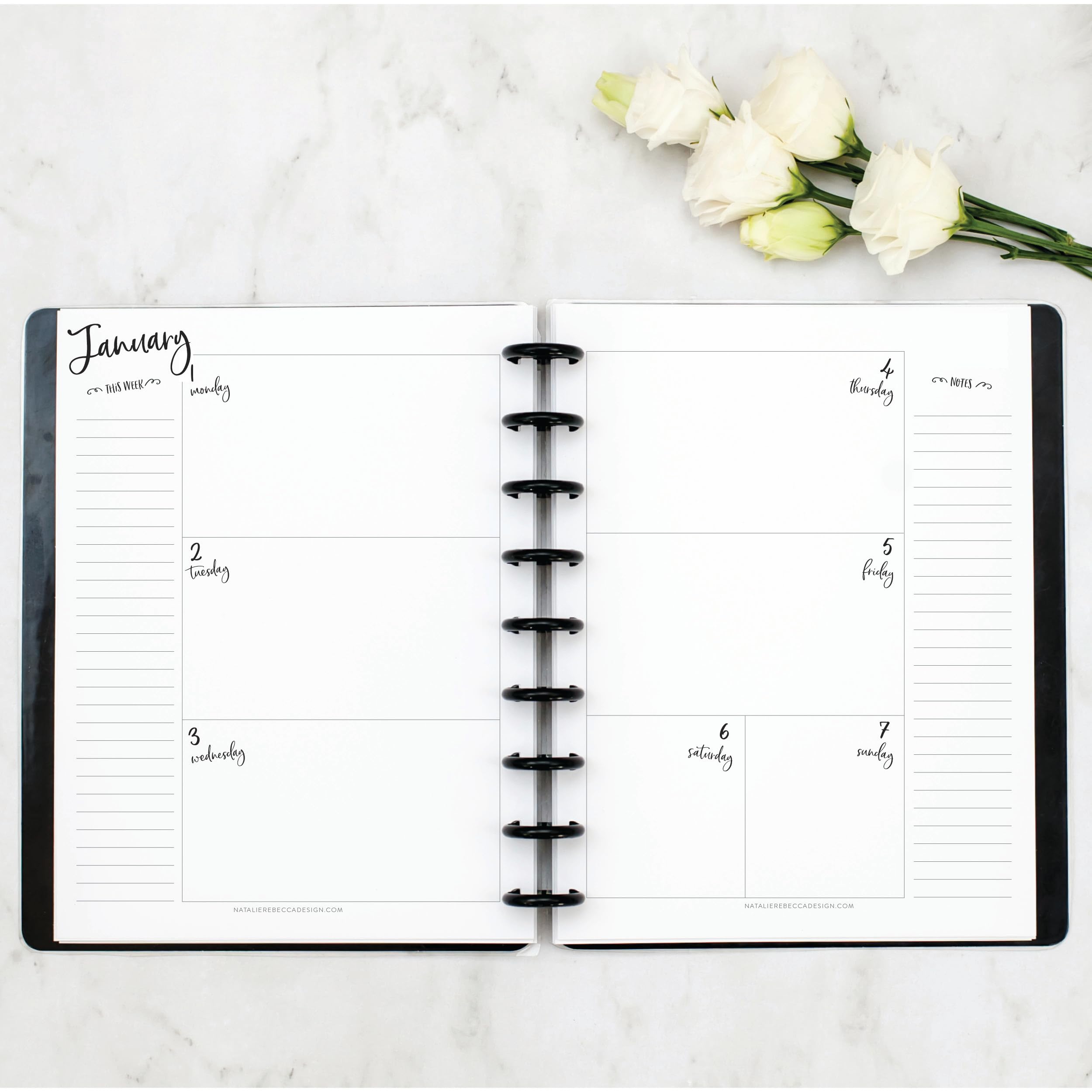 BetterNote 2025 Horizontal Calendar Refill for Disc Notebook - Compatible with Levenger Circa, Staples Arc Jr, TUL, Happy Planner & More (Whimsy Design, 9-Disc, 7