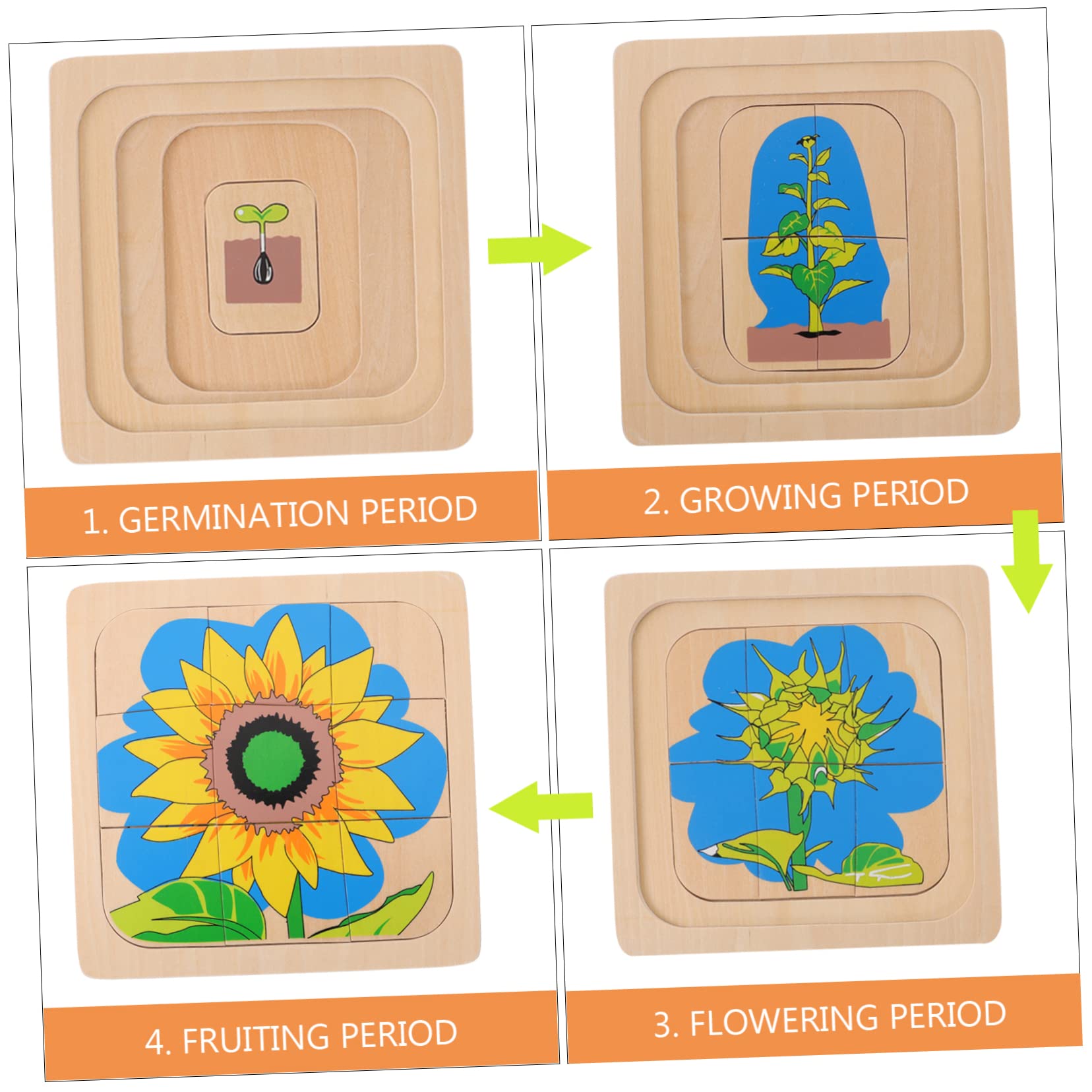TOYANDONA Sunflower Life Cycle Puzzle Set - 3D Layered Wooden Educational Toy for Kids, Montessori Learning Activity, Children's Developmental Puzzle Game | Perfect for Homeschooling, Classroom Science Lessons & Toddler Cognitive Development