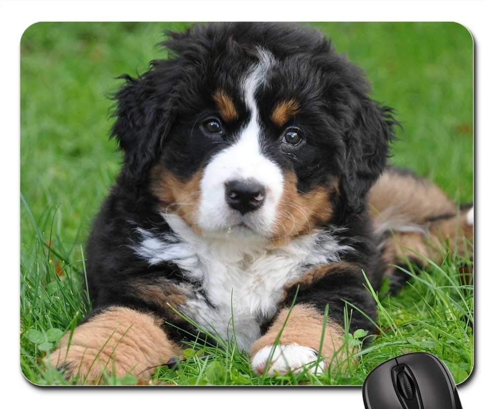 Premium Gaming Mouse Pad with Bernese Mountain Dog Design - Extra Large Non-Slip Mouse Mat for PC, Laptop & Office Use - Perfect for Gamers, Graphic Designers & Pet Lovers