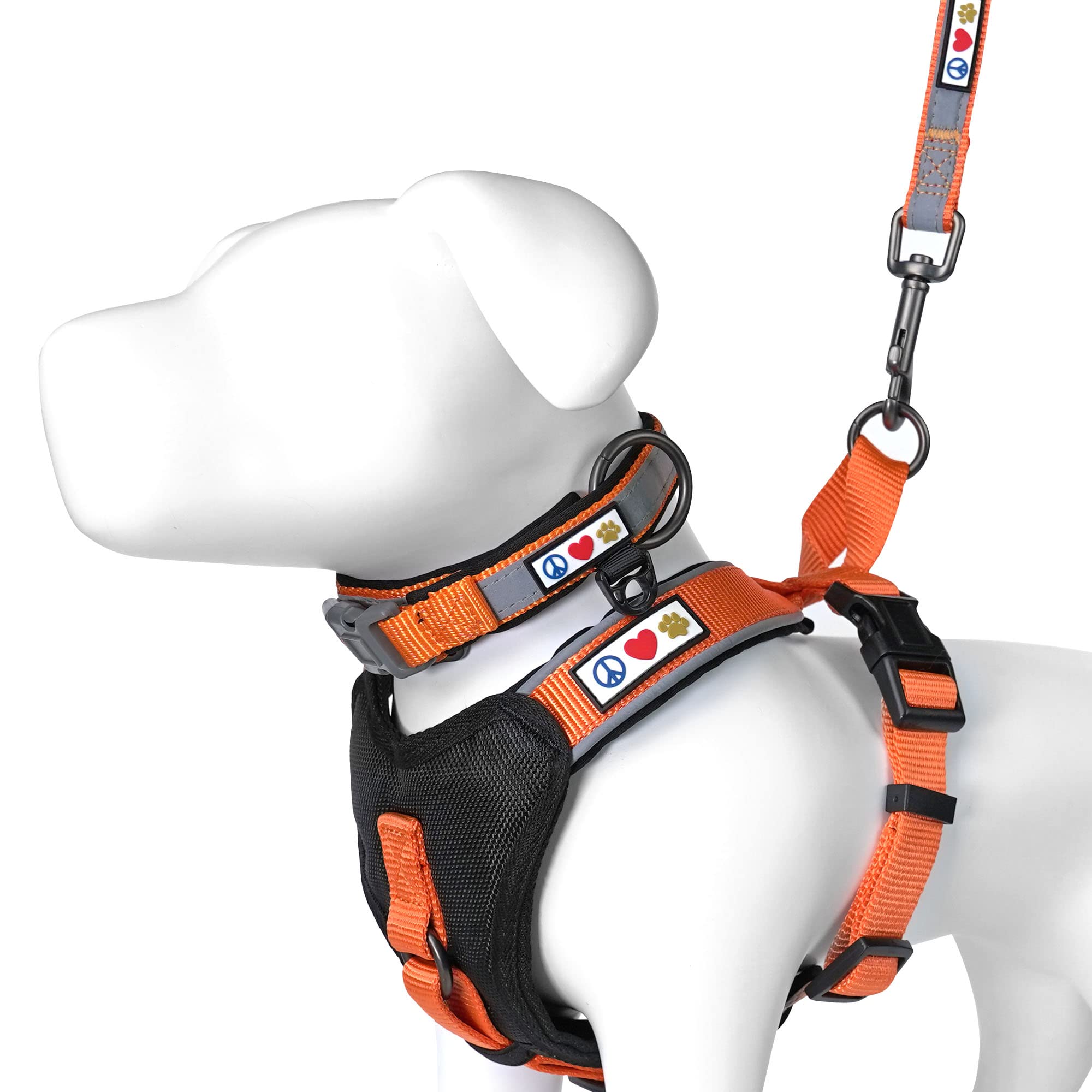 Pawtitas Small Dog Harness and Collar Set with Leash - Orange Padded Value Bundle for Small Dogs | Perfect for Walking, Training, and Outdoor Adventures