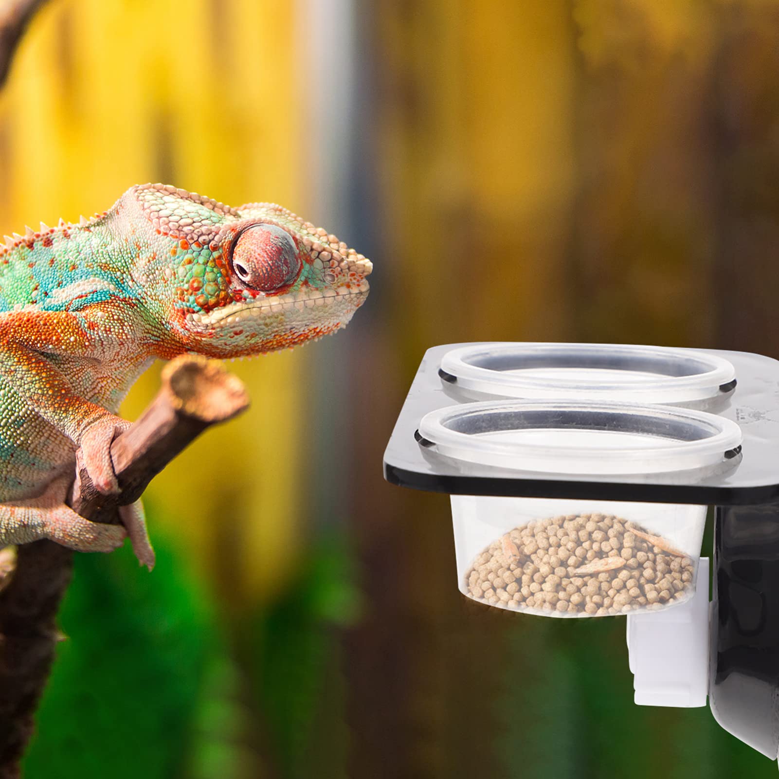 1 Set Reptile Food & Water Bowl - Escape-Proof Dish for Pet Lizards, Snakes & Crawling Pets - Safe Feeding Supplies for Terrariums & Habitats | Perfect for Daily Feeding & Hydration