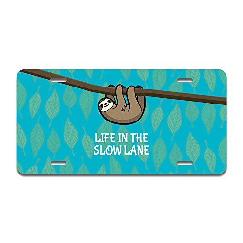 Slow Sloth