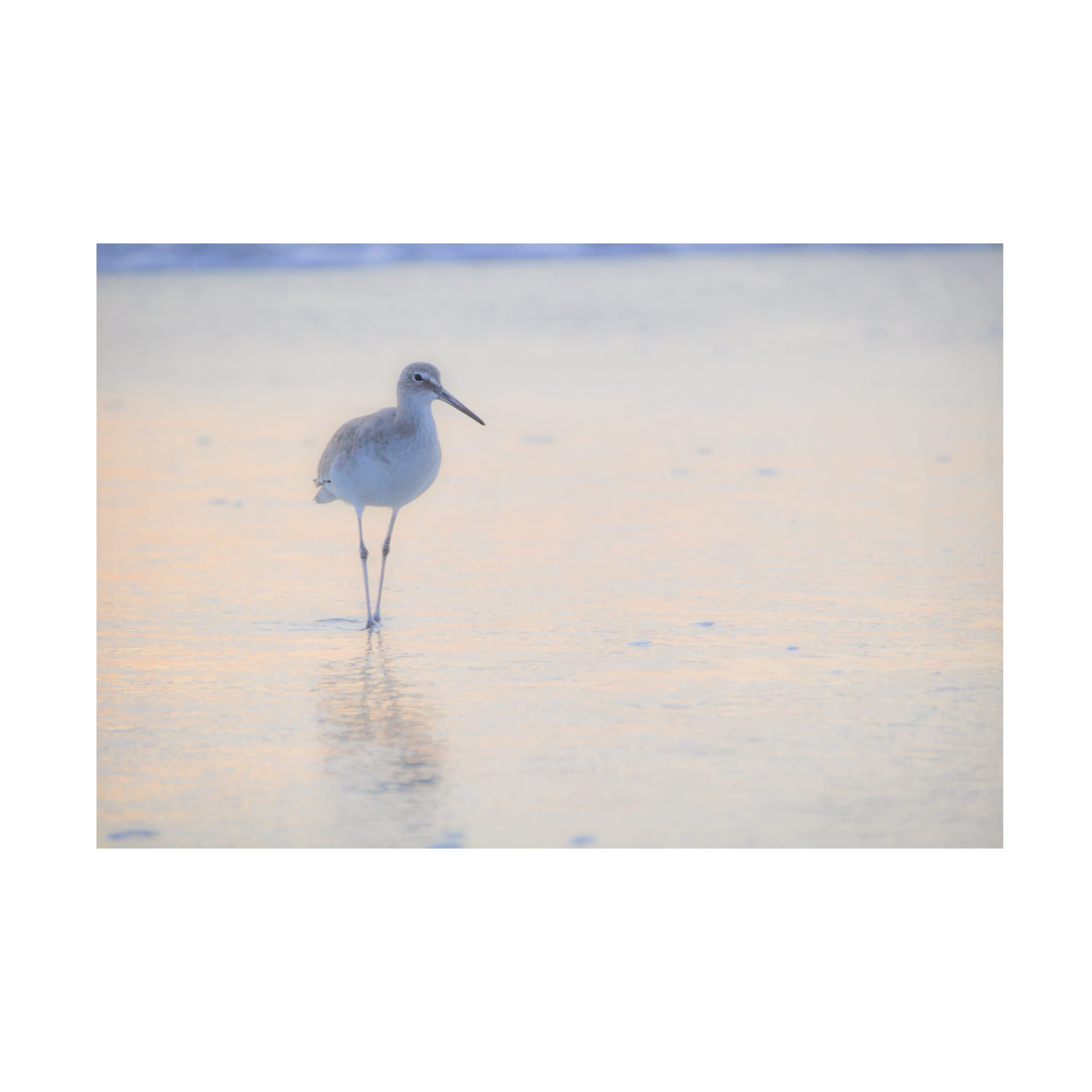 Blue Palomino 'Peaceful Piper' Canvas Wall Art Print - Handmade Landscape Painting for Living Room, Bedroom & Office Decor