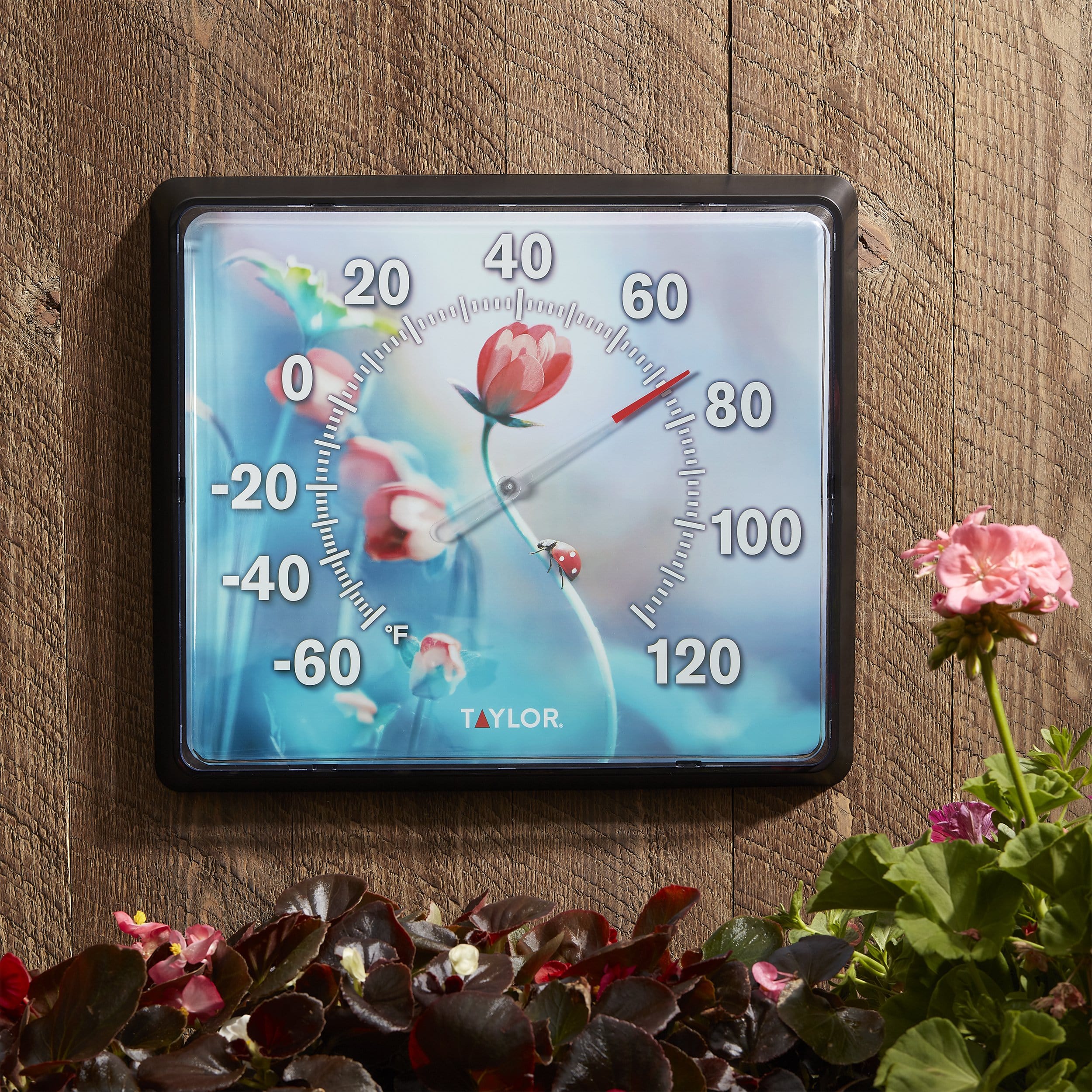 12 x 14 Inch Ladybug Dial Thermometer - Outdoor/Indoor Temperature Gauge for Garden, Home, Greenhouse & Weather Monitoring