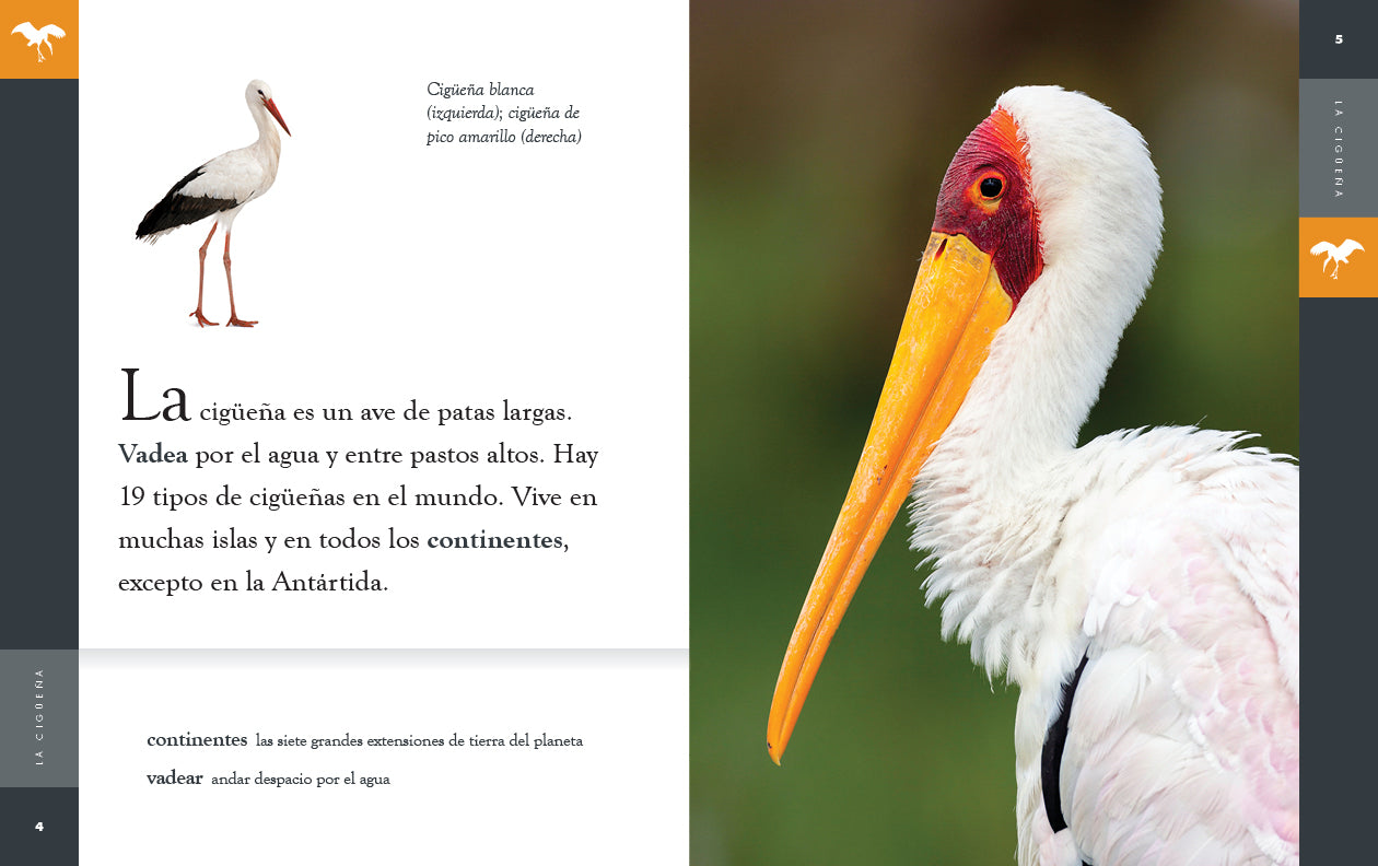 La Ciguena 9781640266988 - Spanish Children's Book for Early Learning & Bedtime Stories - Perfect for Kids' Reading Time & Family Bonding