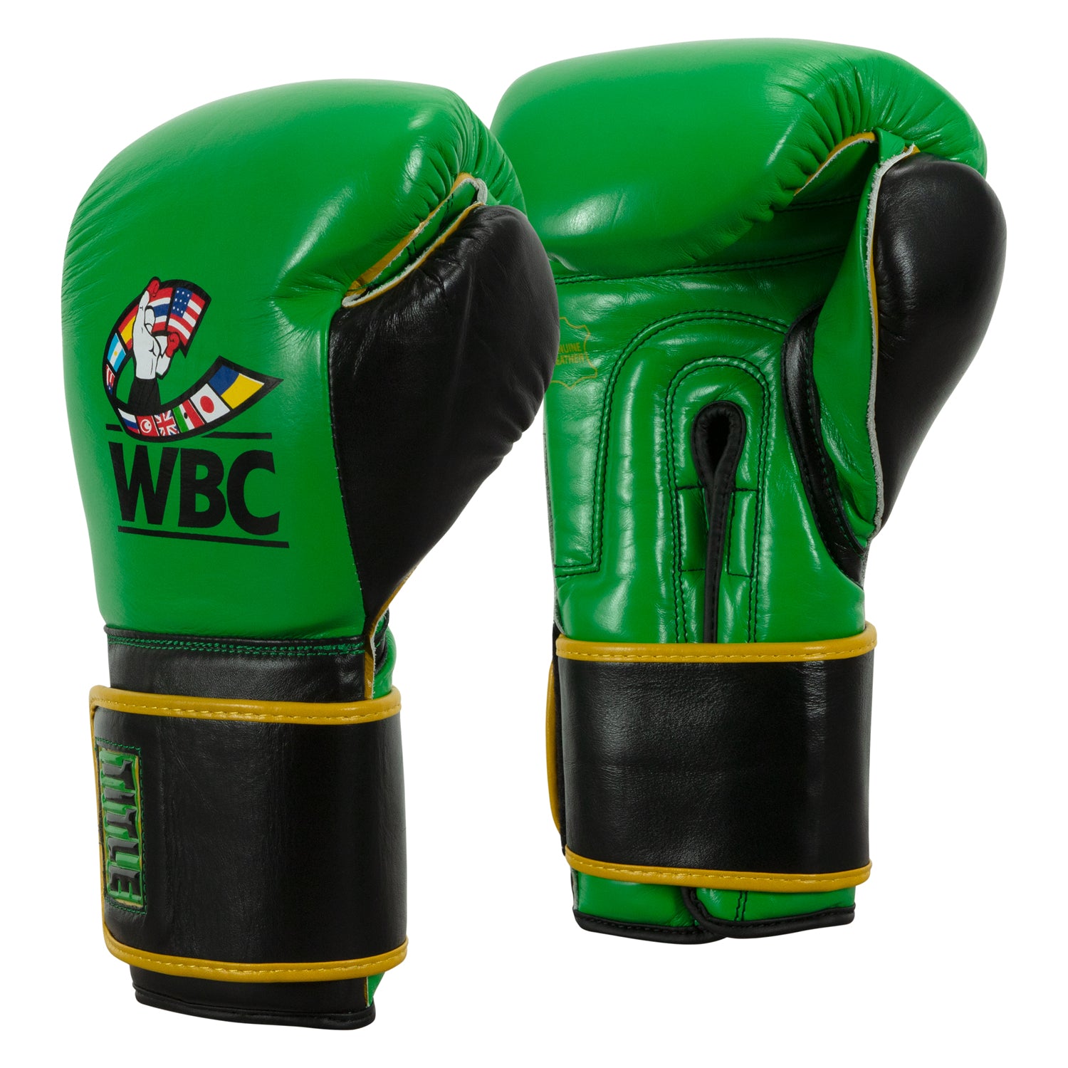 WBC by TITLE Boxing Training Gloves - Professional Boxing & MMA Sparring Gear for Fitness Training & Heavy Bag Workouts