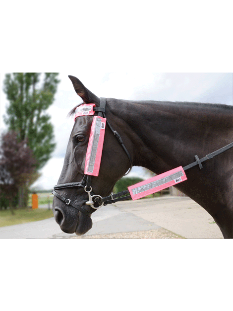 High Visibility Reflective Bridle Set for Horses - Safe Night Riding & Training Gear for Equestrian Sports